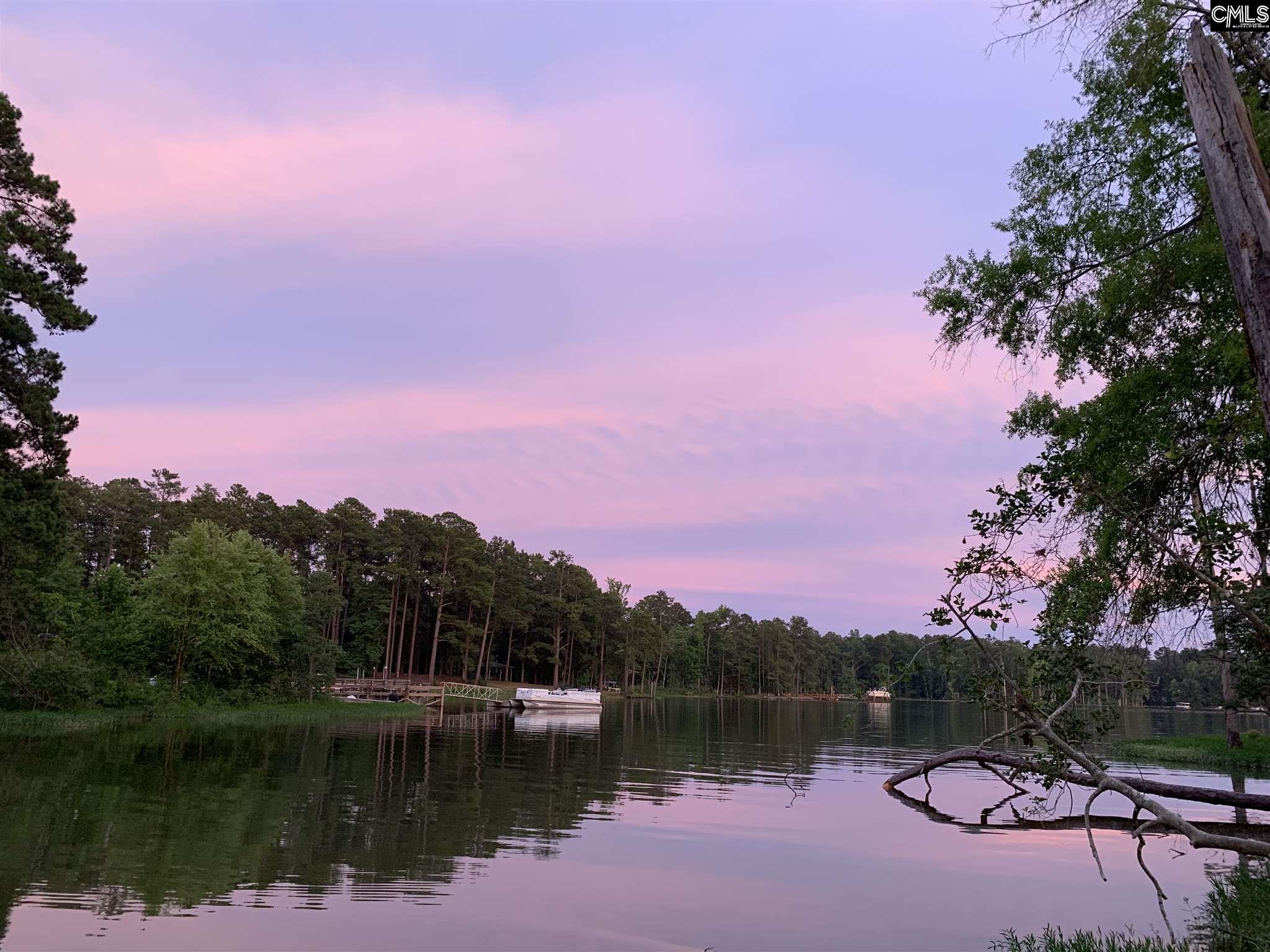 348 Amalfi Chapin, SC 29036-7360