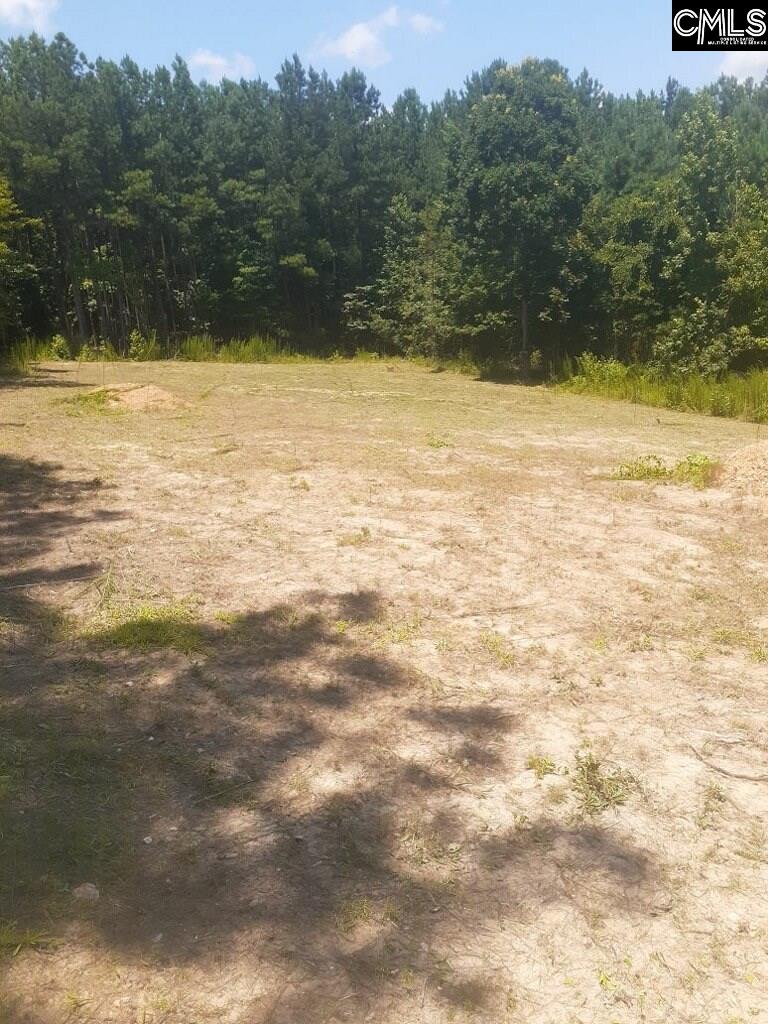 115 Miles Oak Blythewood, SC 29016