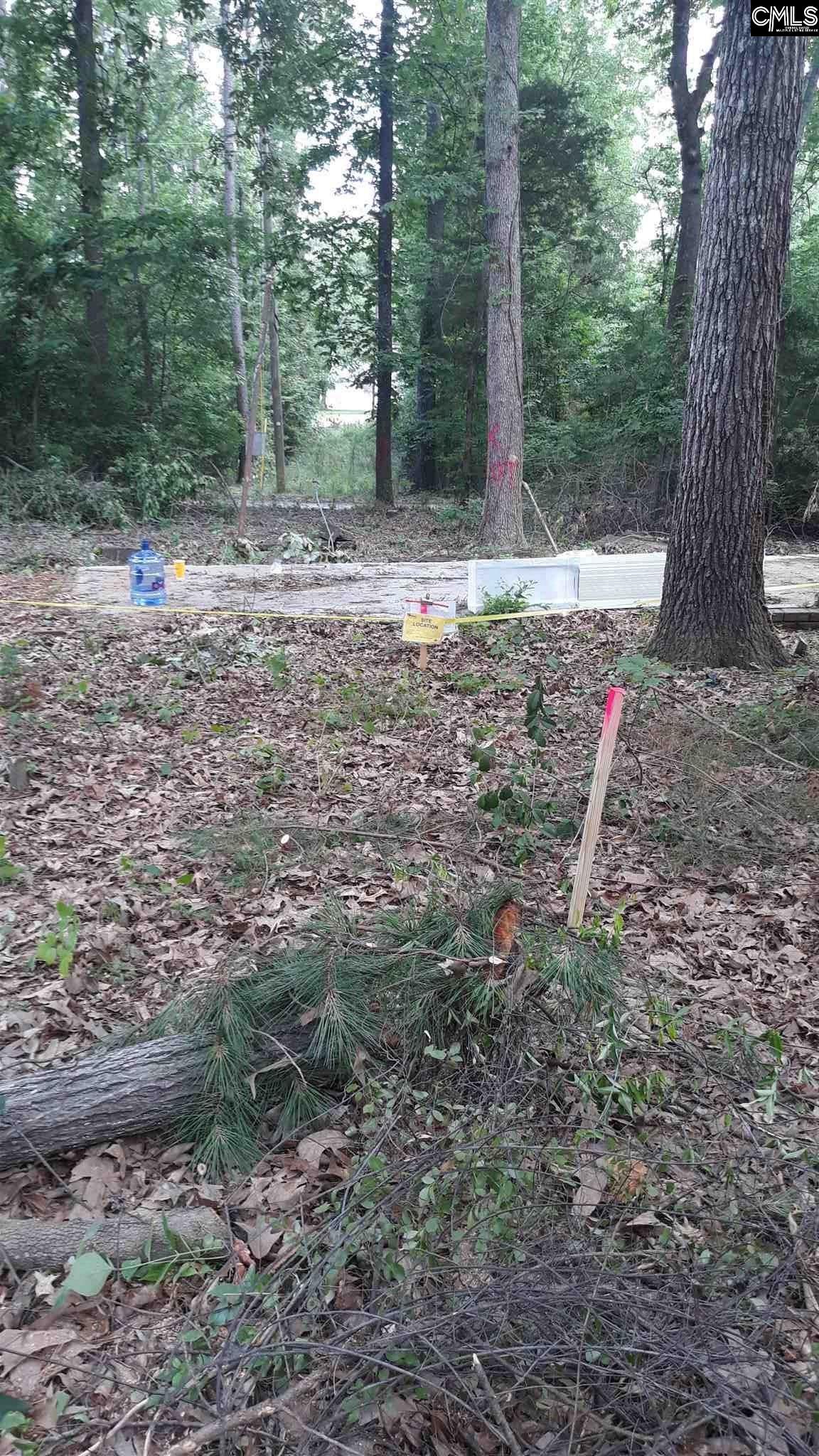 14b Green Meadow Chapin, SC 29036