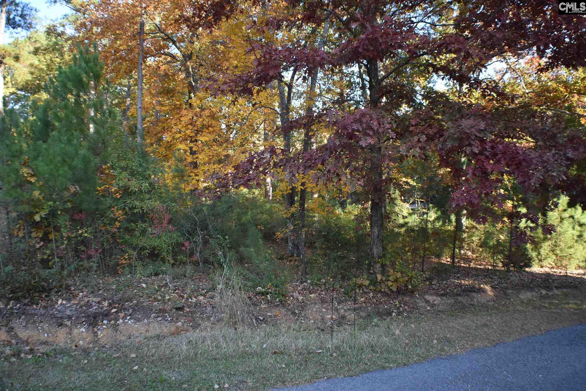 220 Bethview Unit 4 Irmo, SC 29063