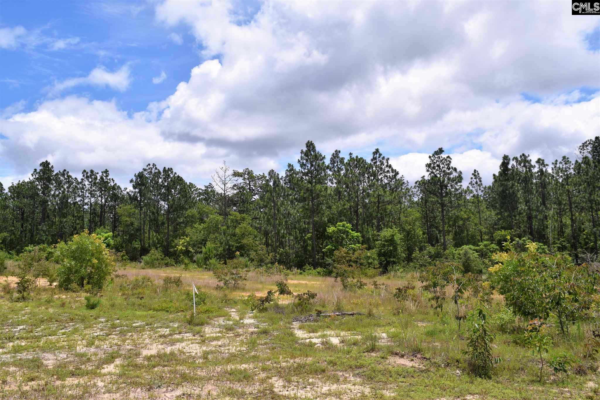 133 Cross Lexington, SC 29073