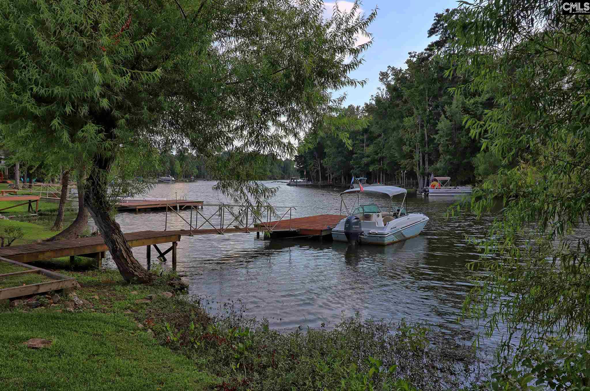 136 Palm Chapin, SC 29036