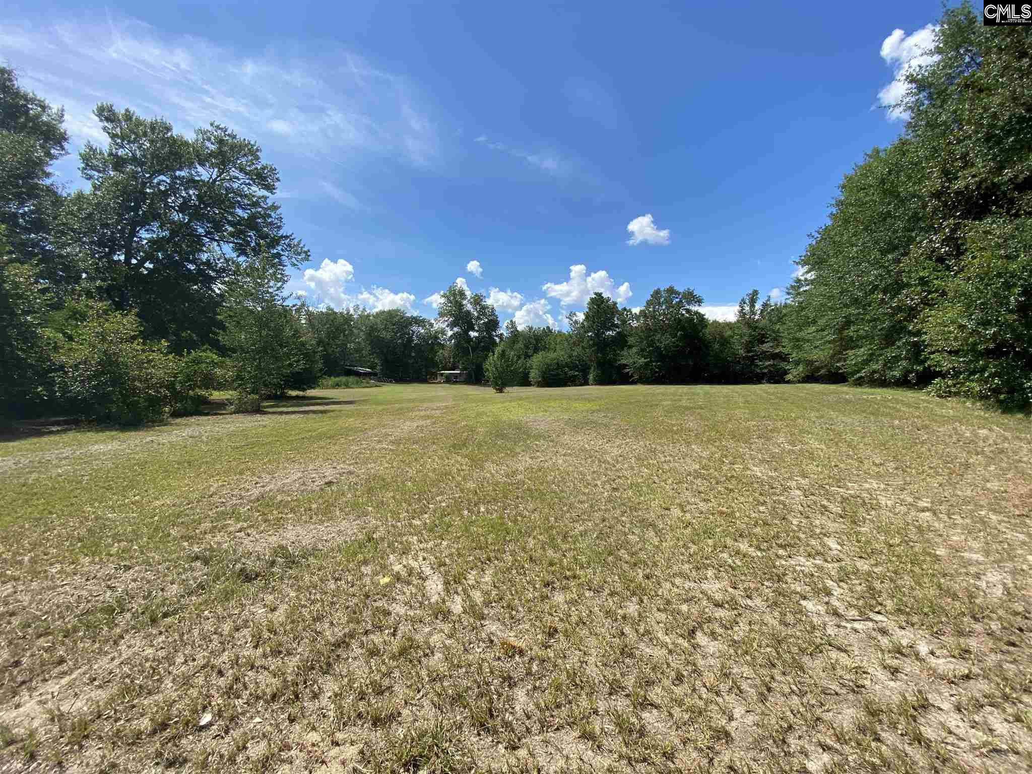 Hendrix Street Lexington, SC 29072