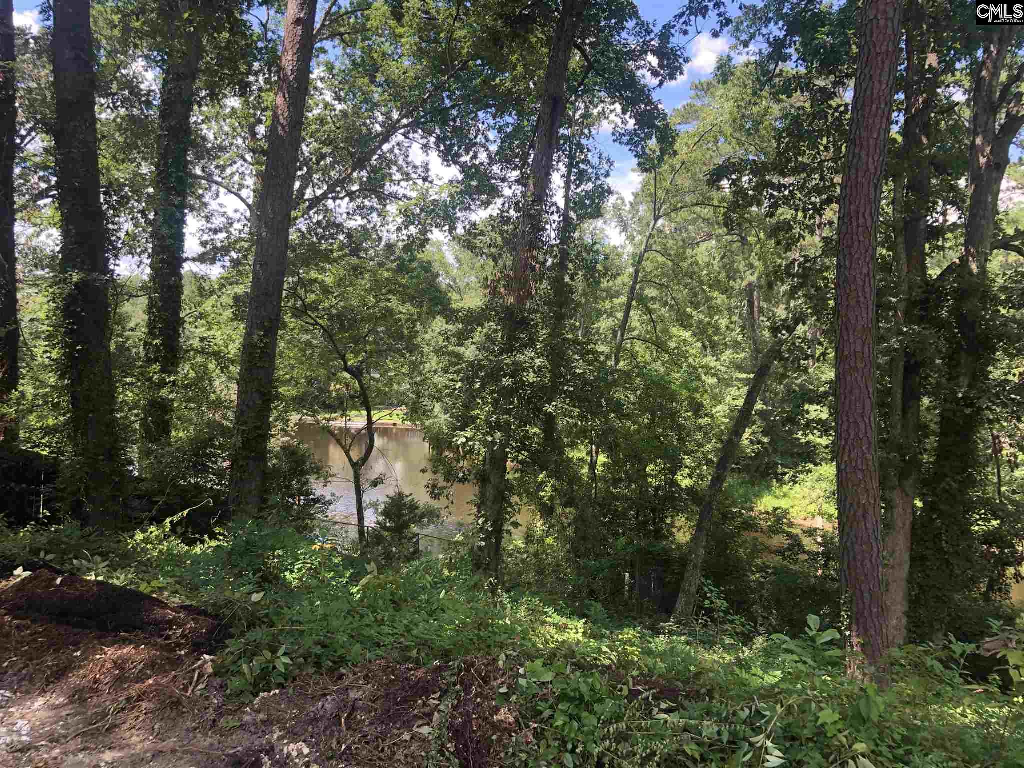 3319 Overcreek Columbia, SC 29206