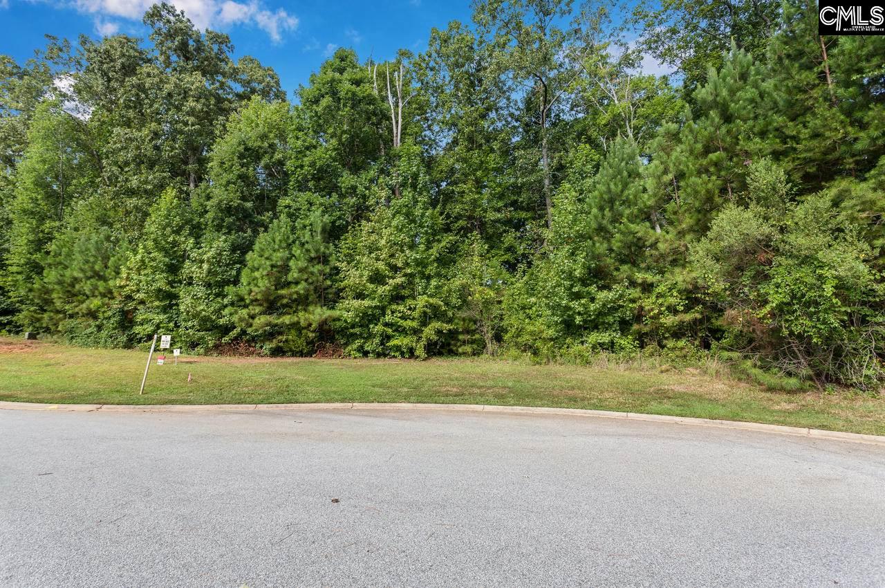 251 Brookwood Forest Blythewood, SC 29016