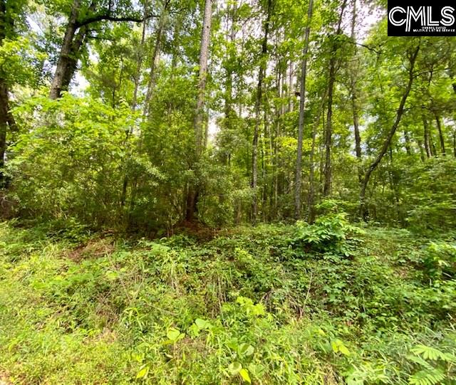 Fairfield Columbia, SC 29203