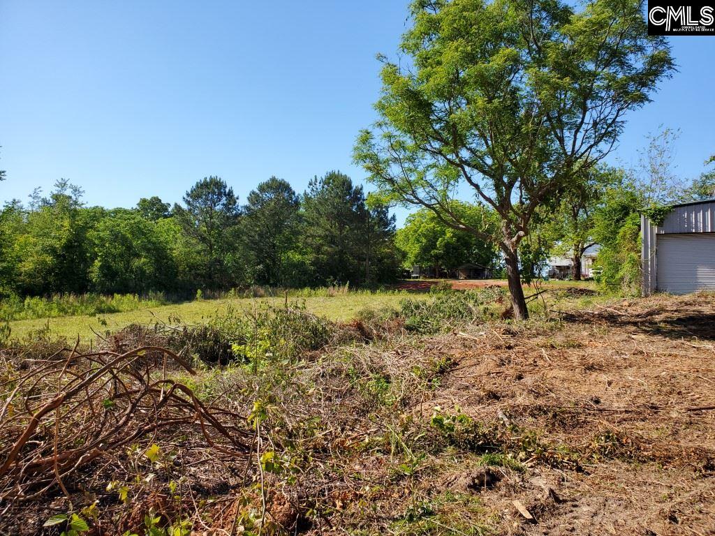 1304 Amicks Ferry Chapin, SC 29036