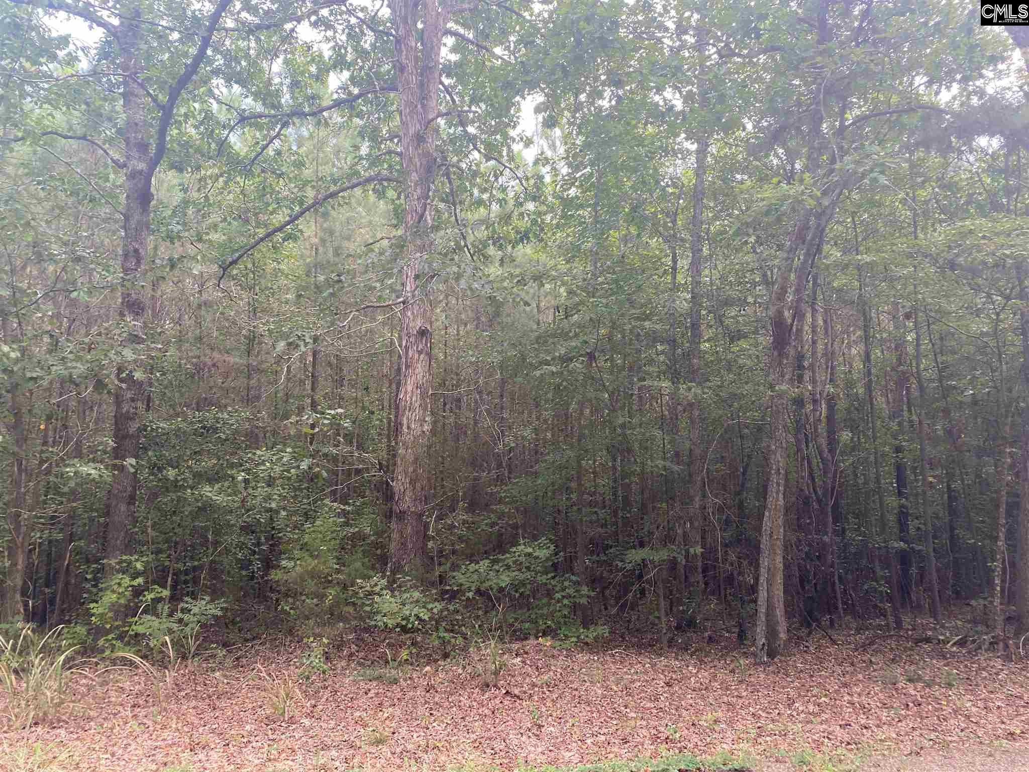 00 Kiblers Bridge Unit Lot C Little Mountain, SC 29075
