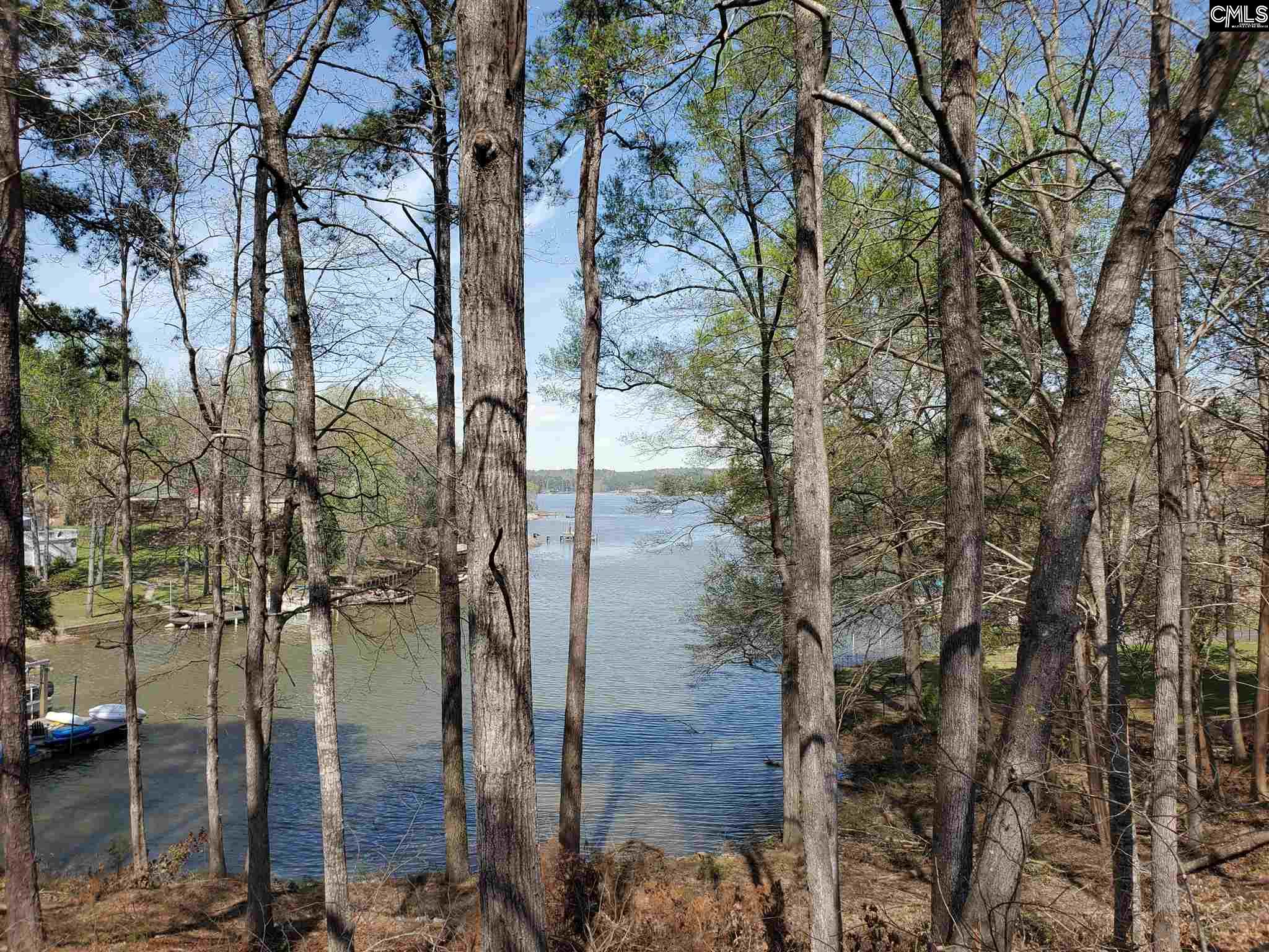 1772 Lake Ridgeway, SC 29130