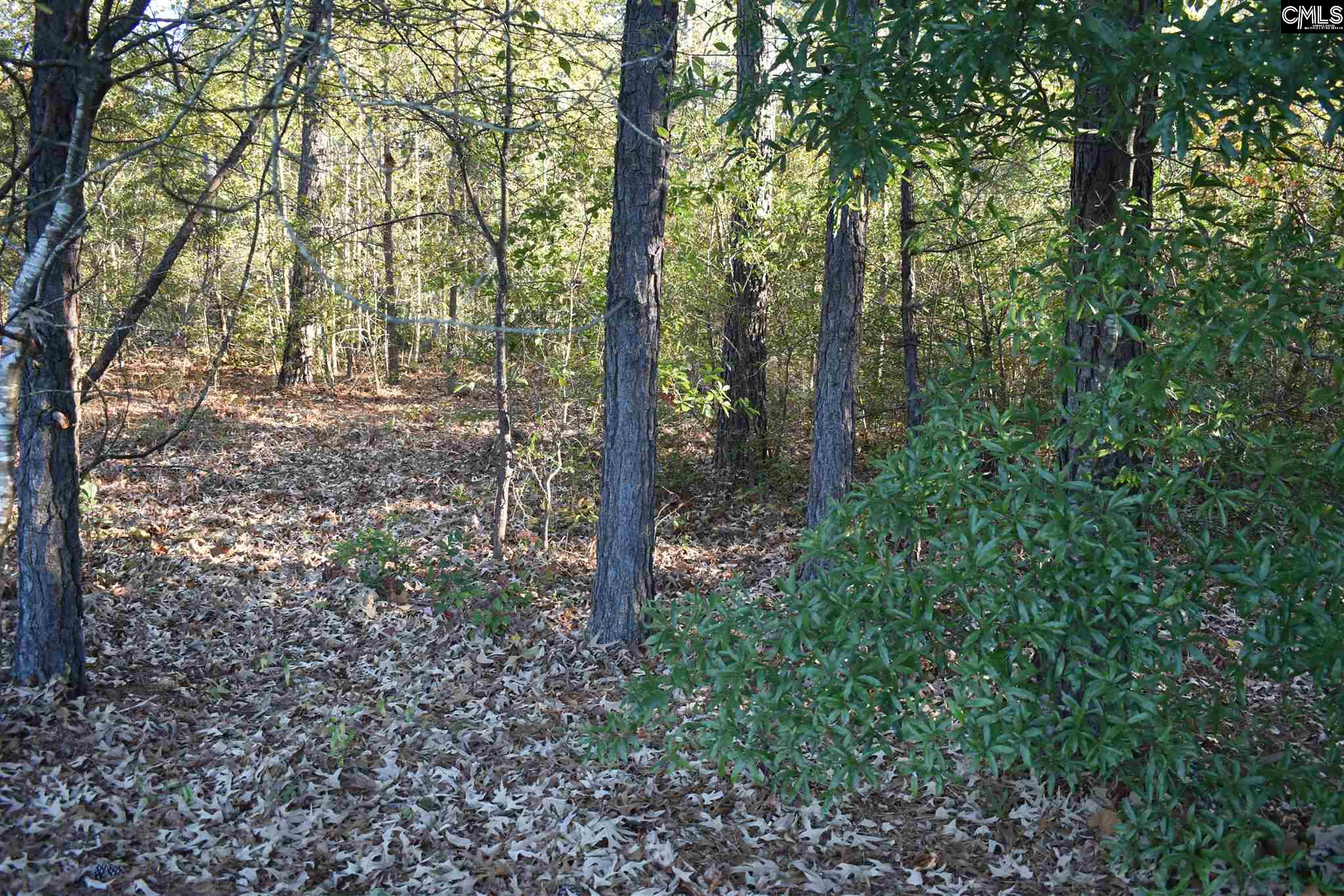 132 /124 Sterns Columbia, SC 29016