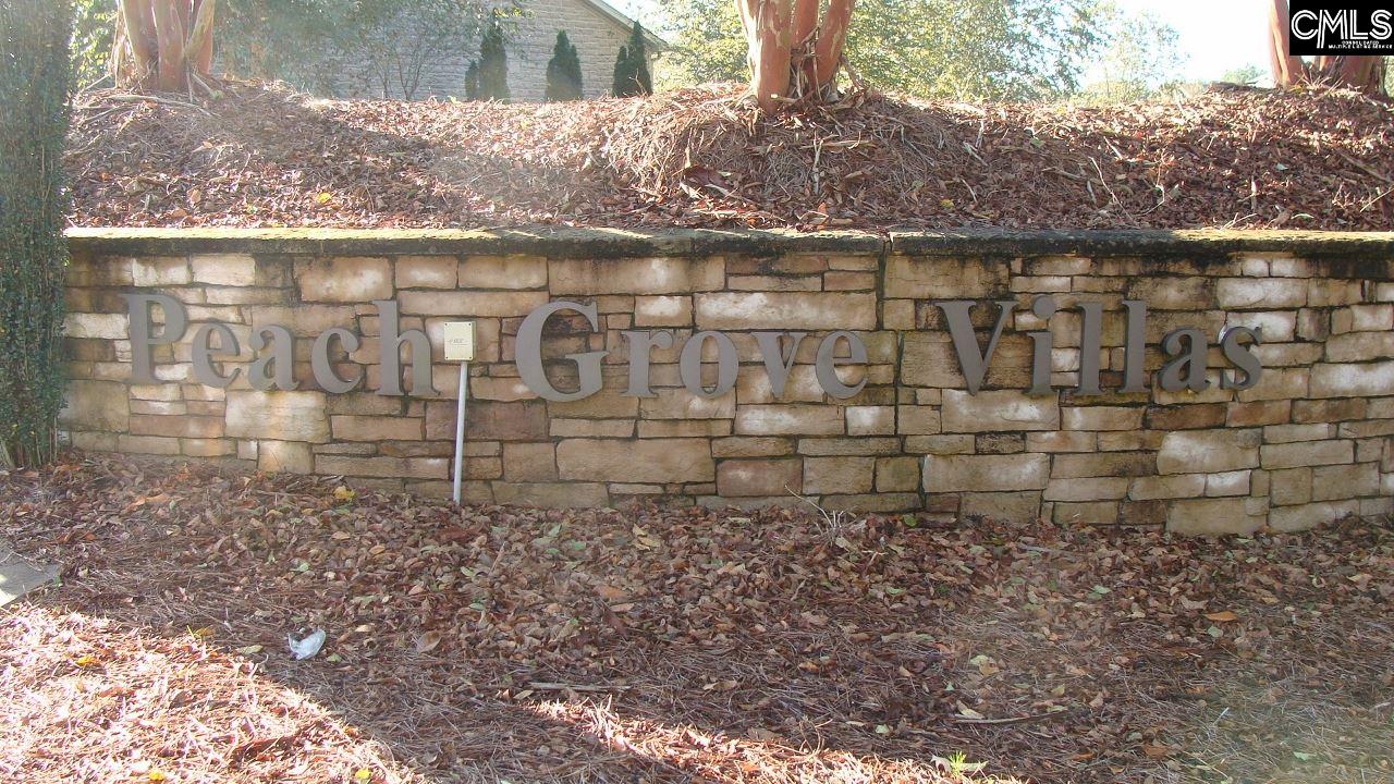 108 Peach Grove Elgin, SC 29045-7116