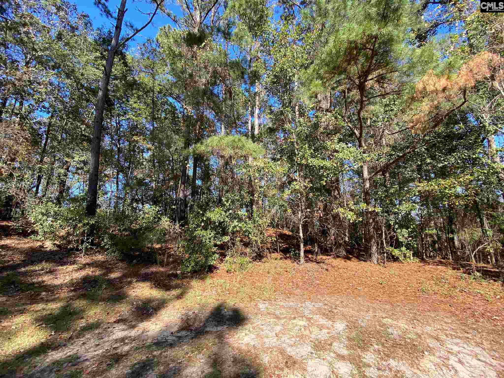16 Jeffrey Turn Camden, SC 29020