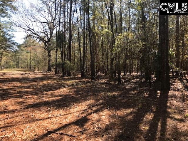 870 D Woodgate Camden, SC 29020