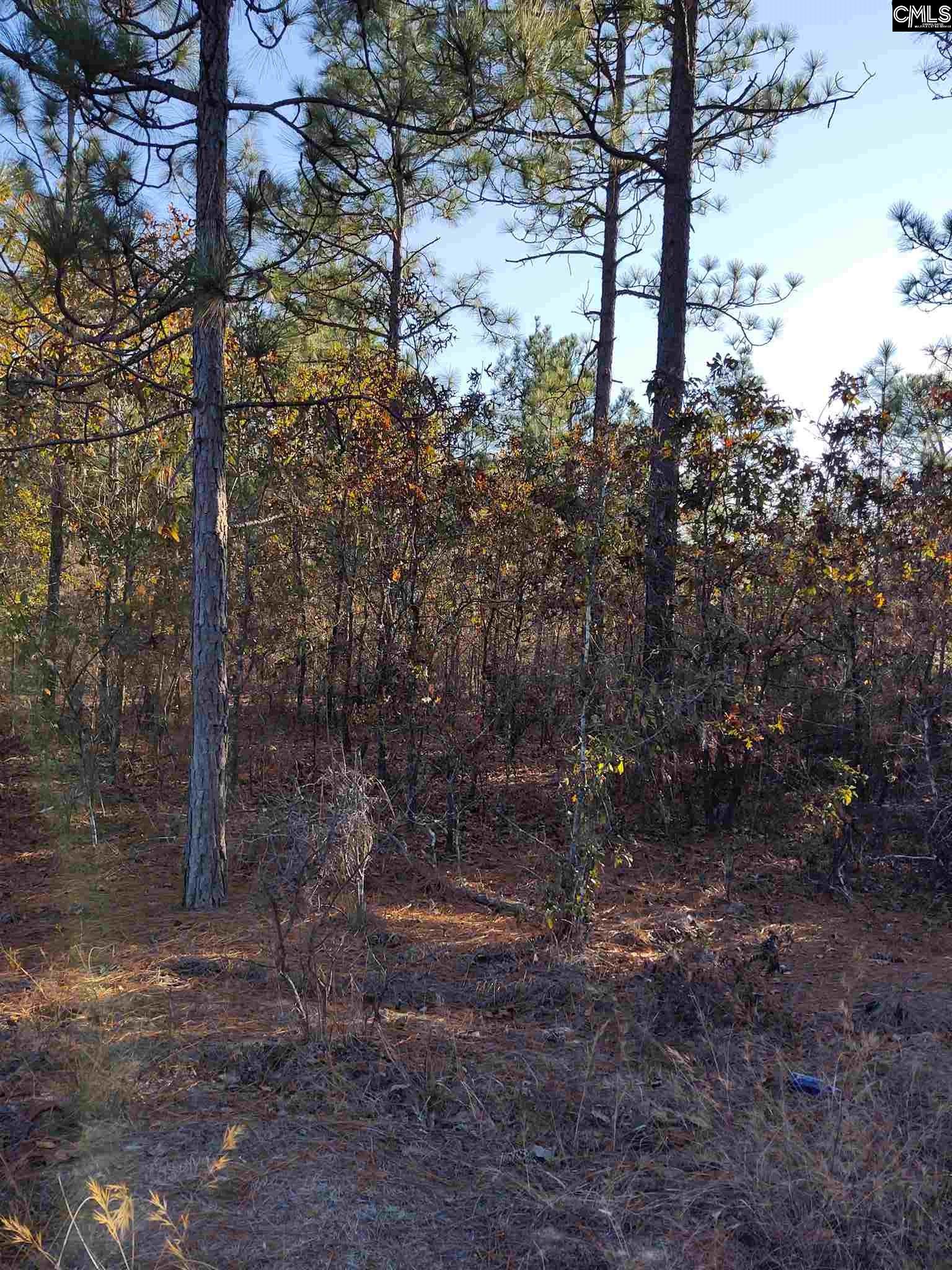 127 Stone Pelion, SC 29123