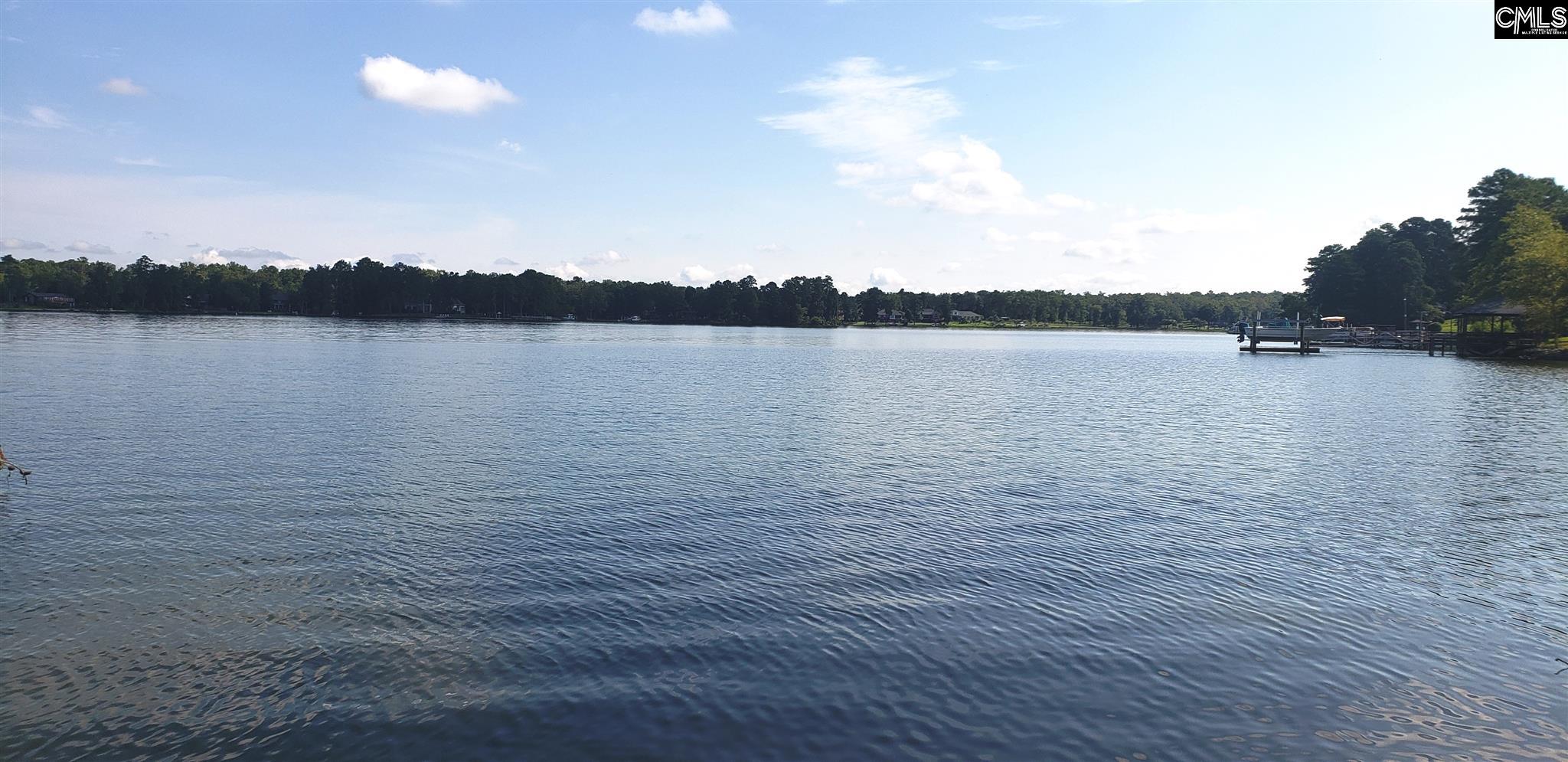 338 Killian Point Chapin, SC 29036