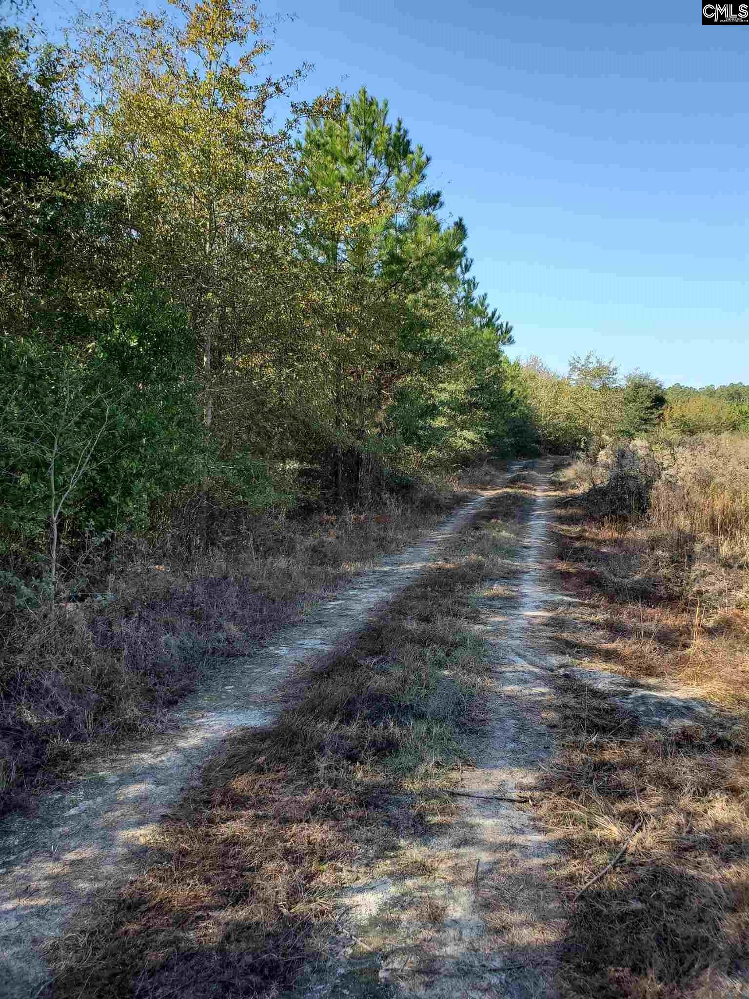 Highway Unit Tract 5 North, SC 29112