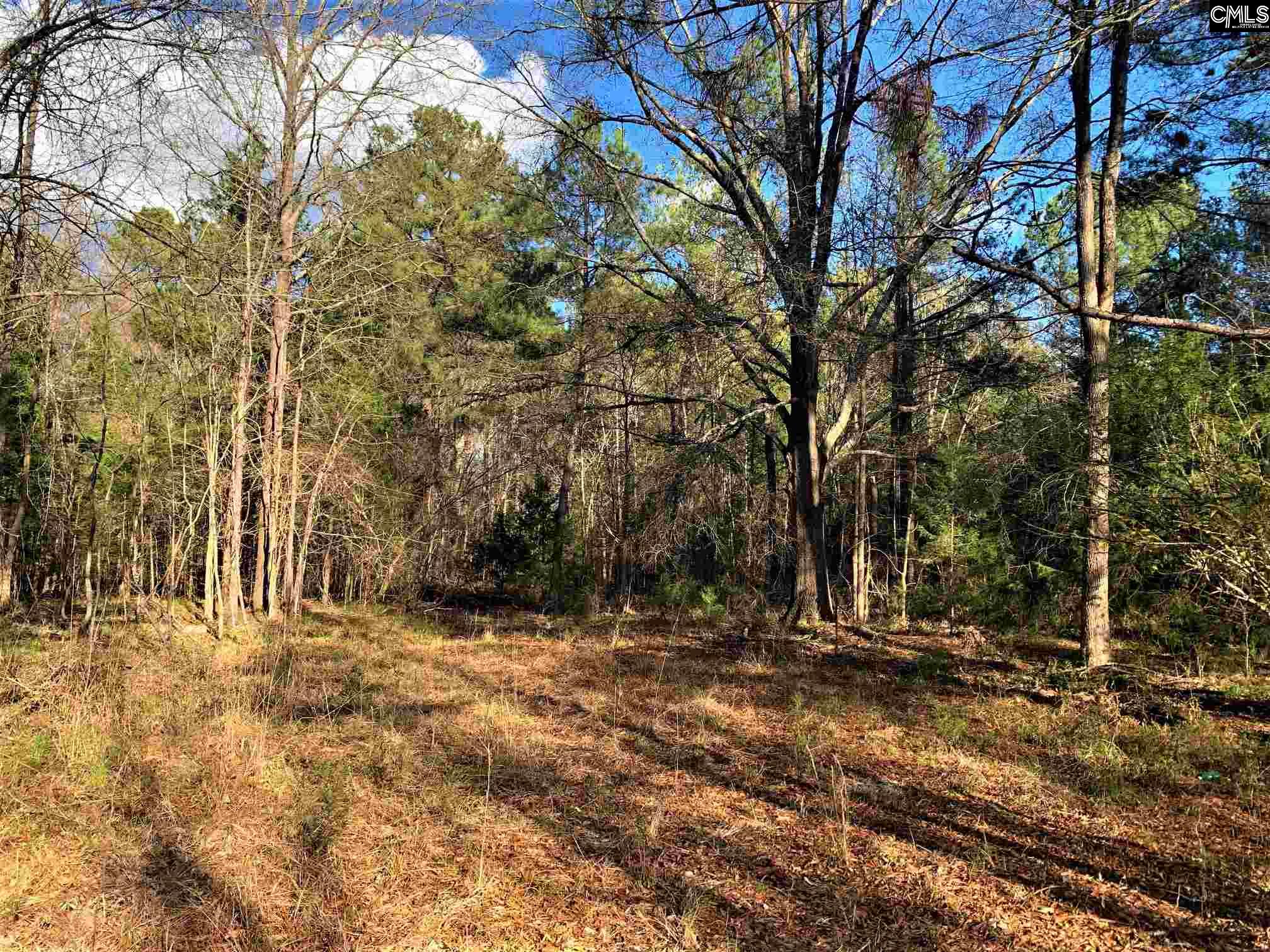 Windy Hill Chapin, SC 29036