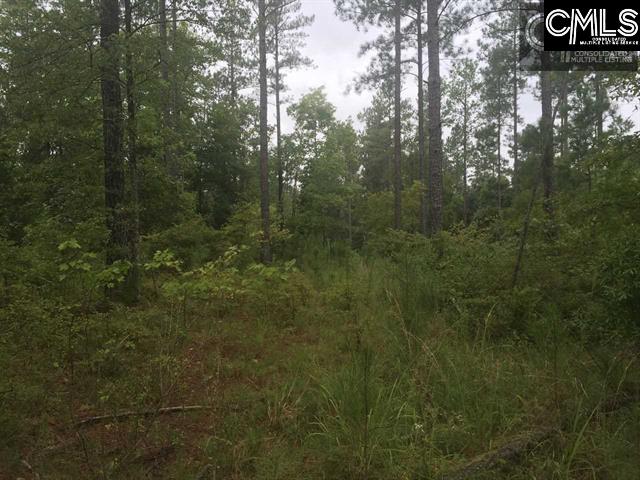 2375 Pierce Boozer Prosperity, SC 29127