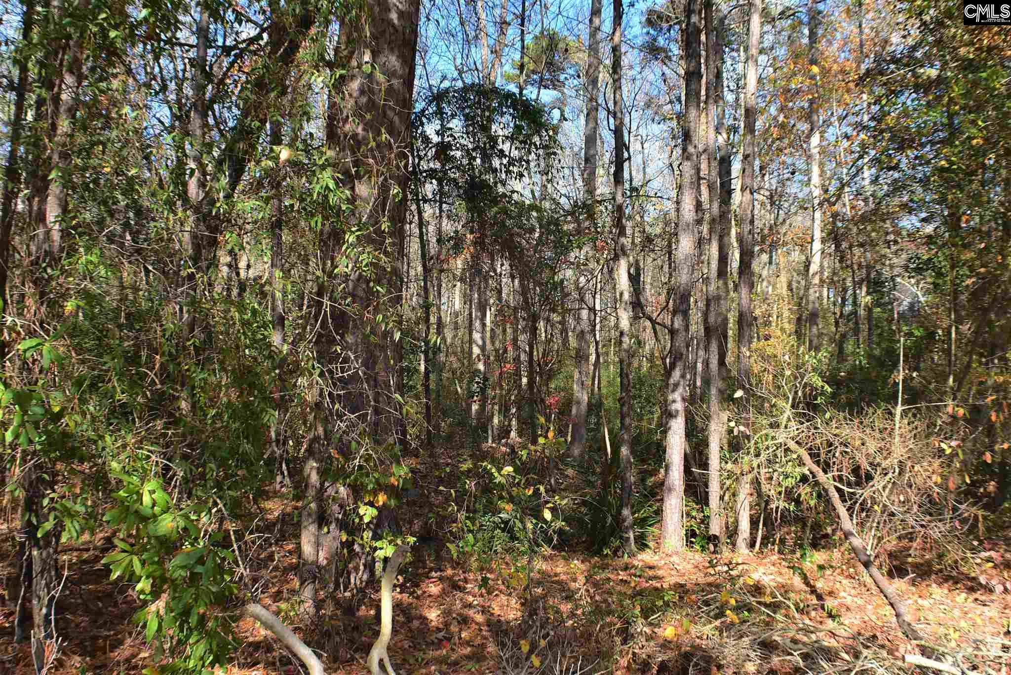 Columbia SC Real Estate Archie Drive Columbia SC 29223 MLS 508983