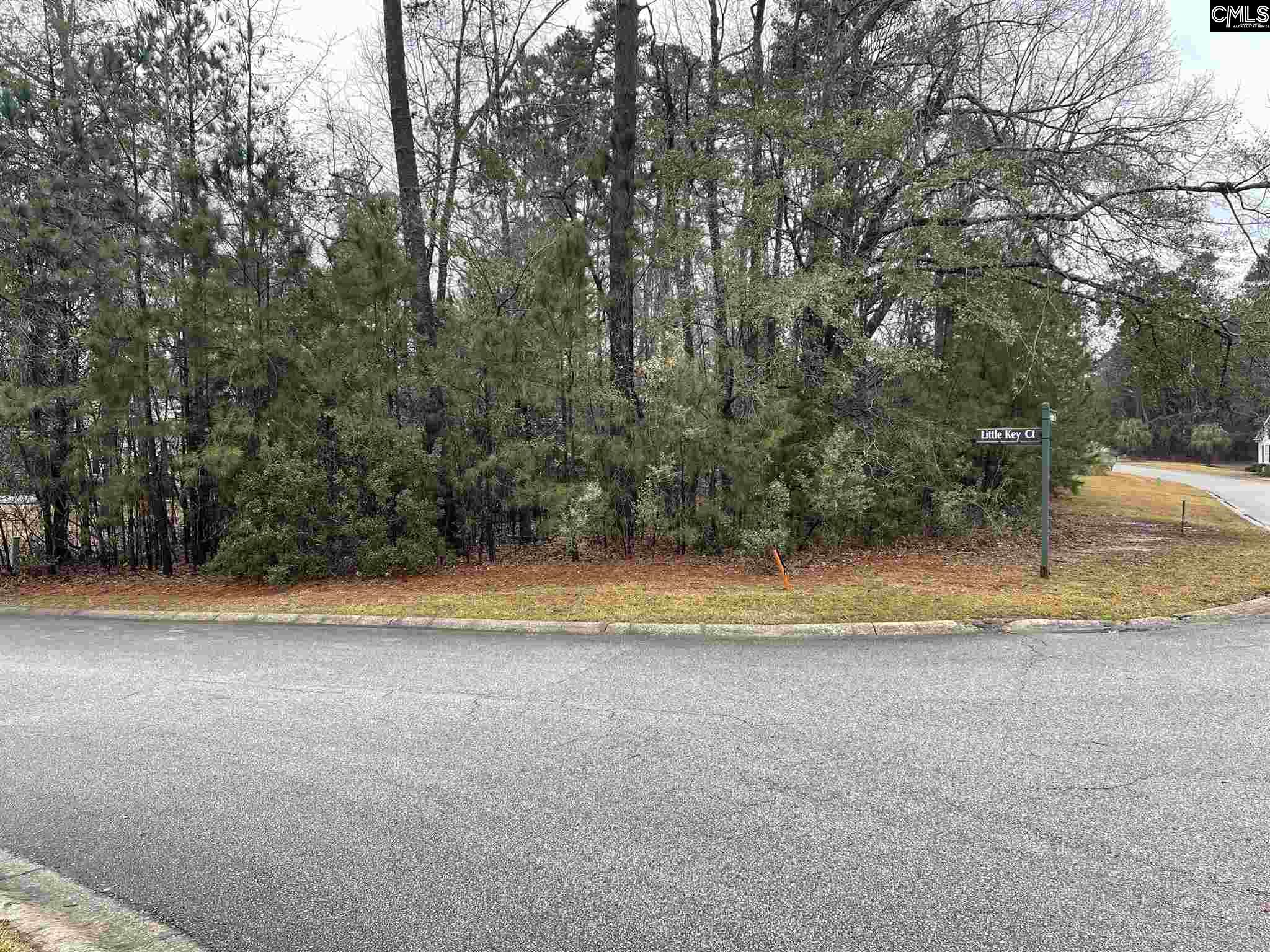 400 Little Key Court Chapin, SC 29036-0000