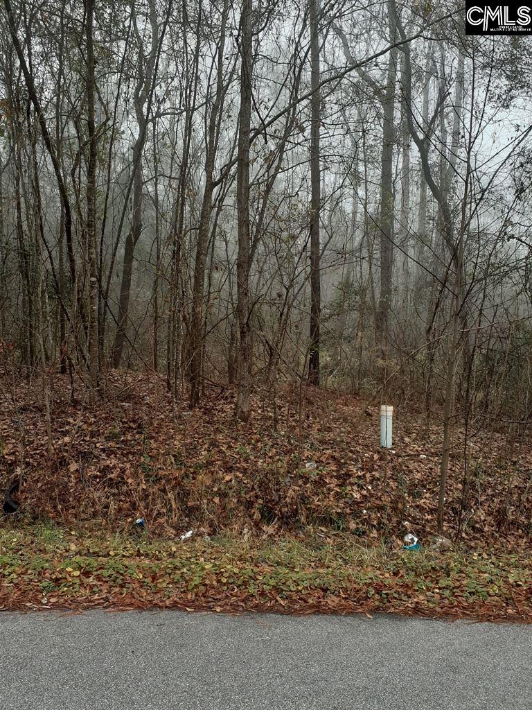 1015 Pineland Drive Unit Lot 1&2 Columbia, SC 29203