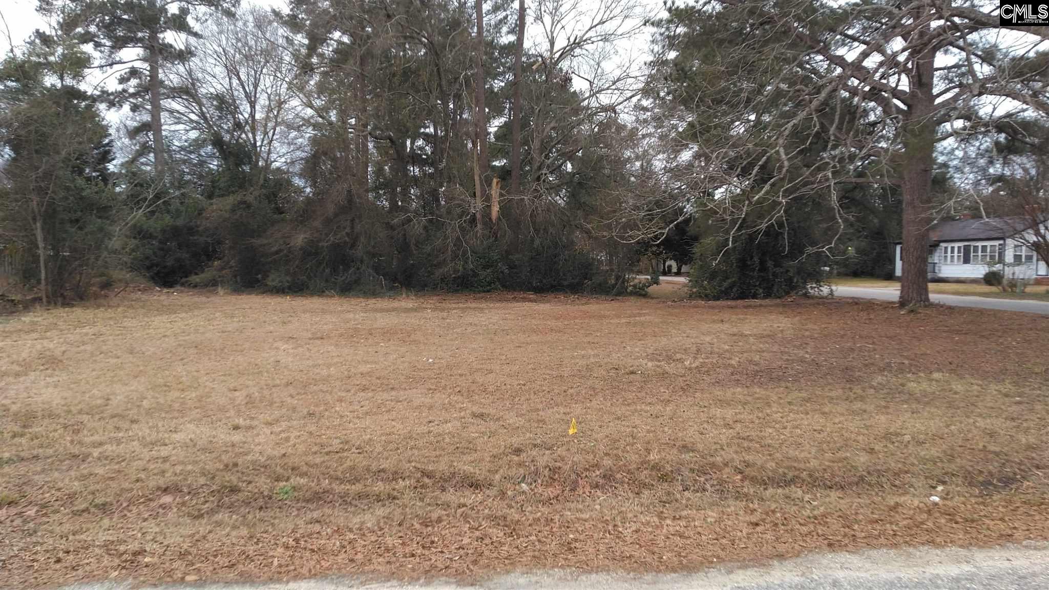 Lot On Calhoun And Council St. Bishopville, SC 29010