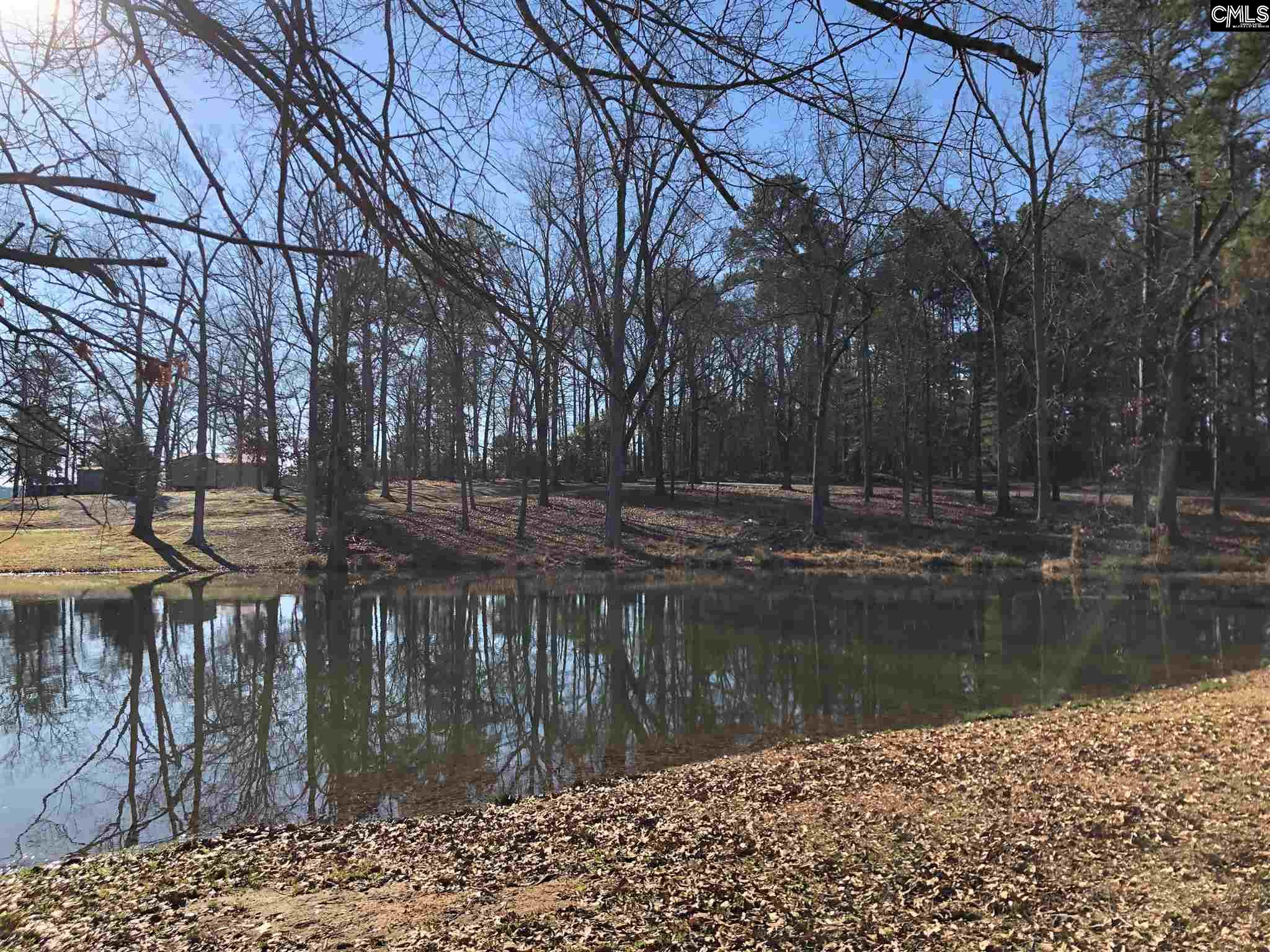 Rb Baker Drive Unit #6 Chapin, SC 29036