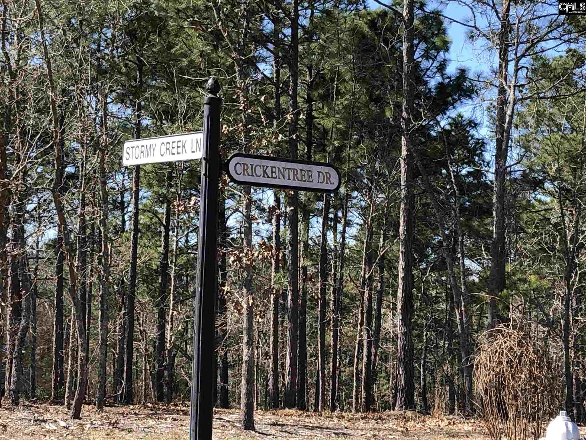 208 Crickentree Drive Blythewood, SC 29016