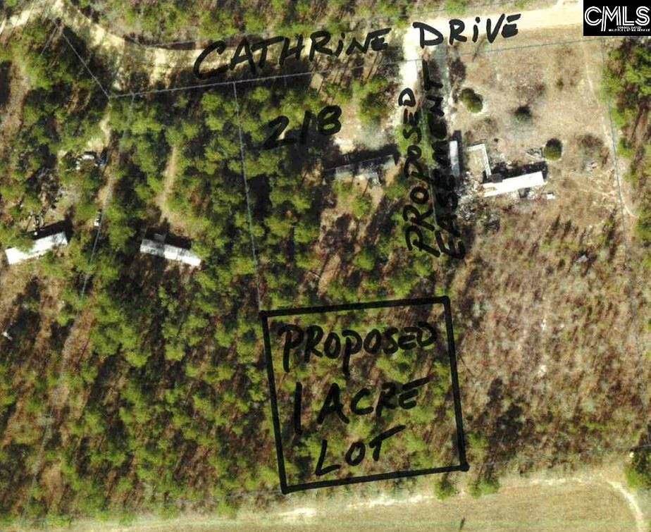 Catherine Drive Pelion, SC 29123