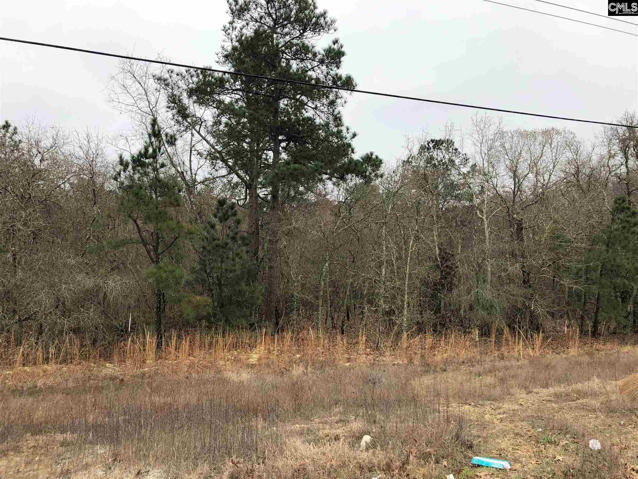 1607 Fort Jackson Road Unit #1 Lugoff, SC 29078