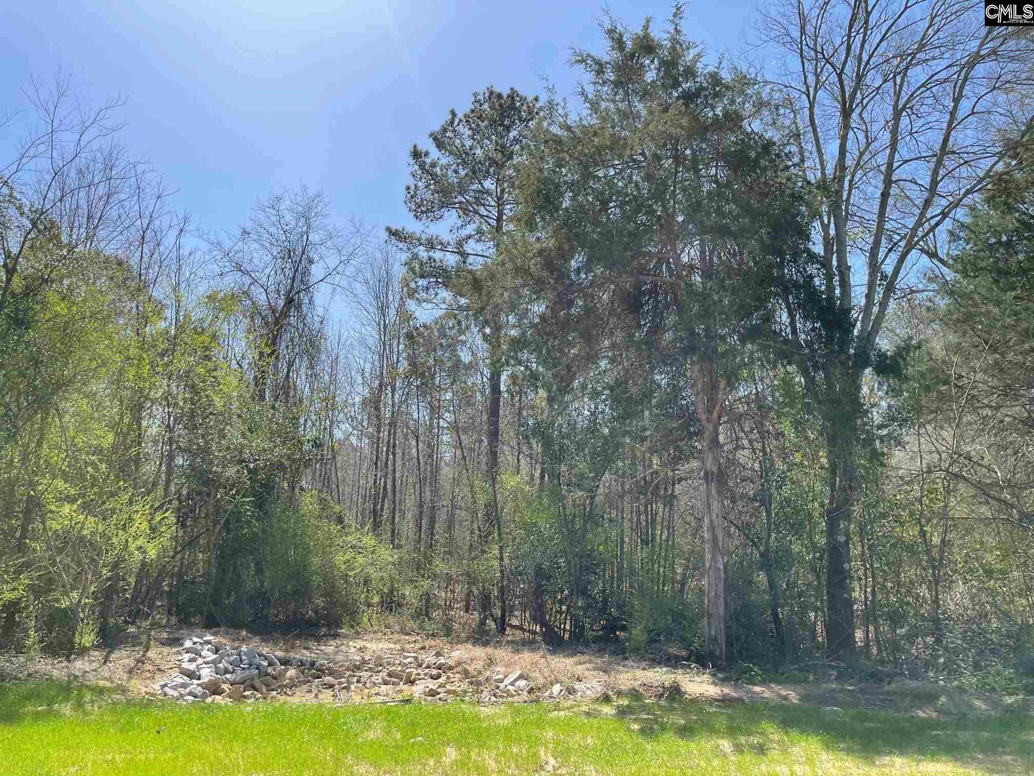 Pine Plain Road Swansea, SC 29160