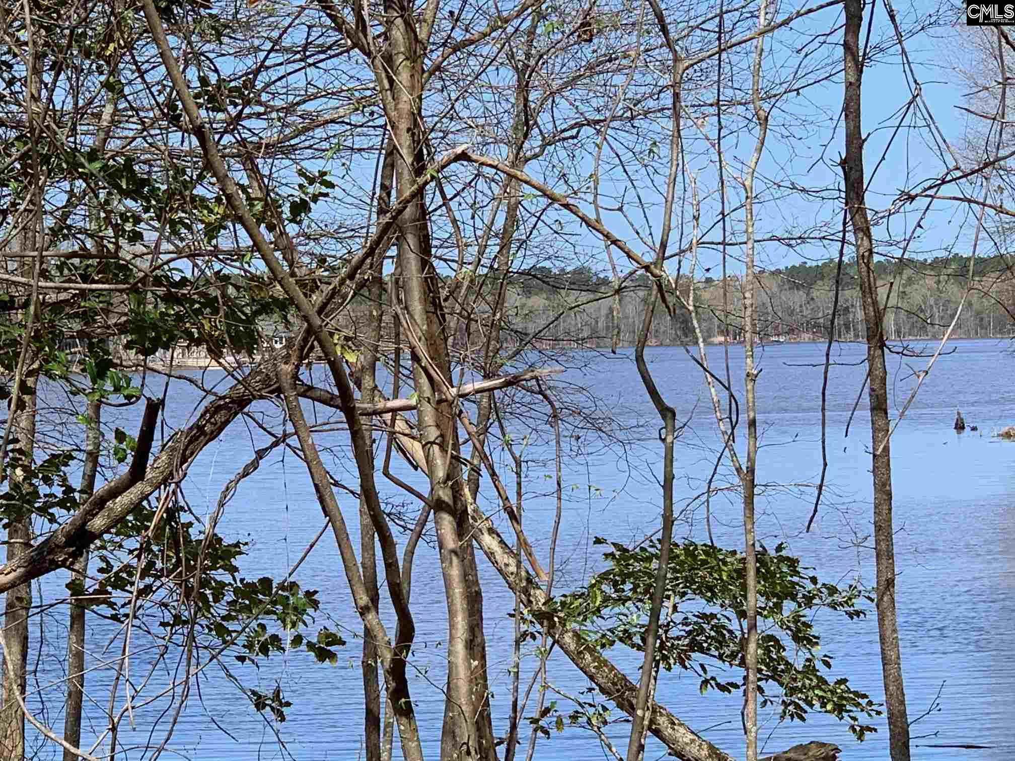 Lot 11 Longview Drive Unit Lot 11 Leesville, SC 29070