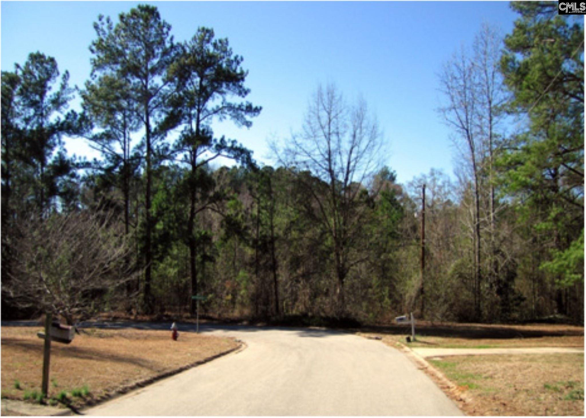 Tbd Nottingwood Drive Columbia, SC 29210