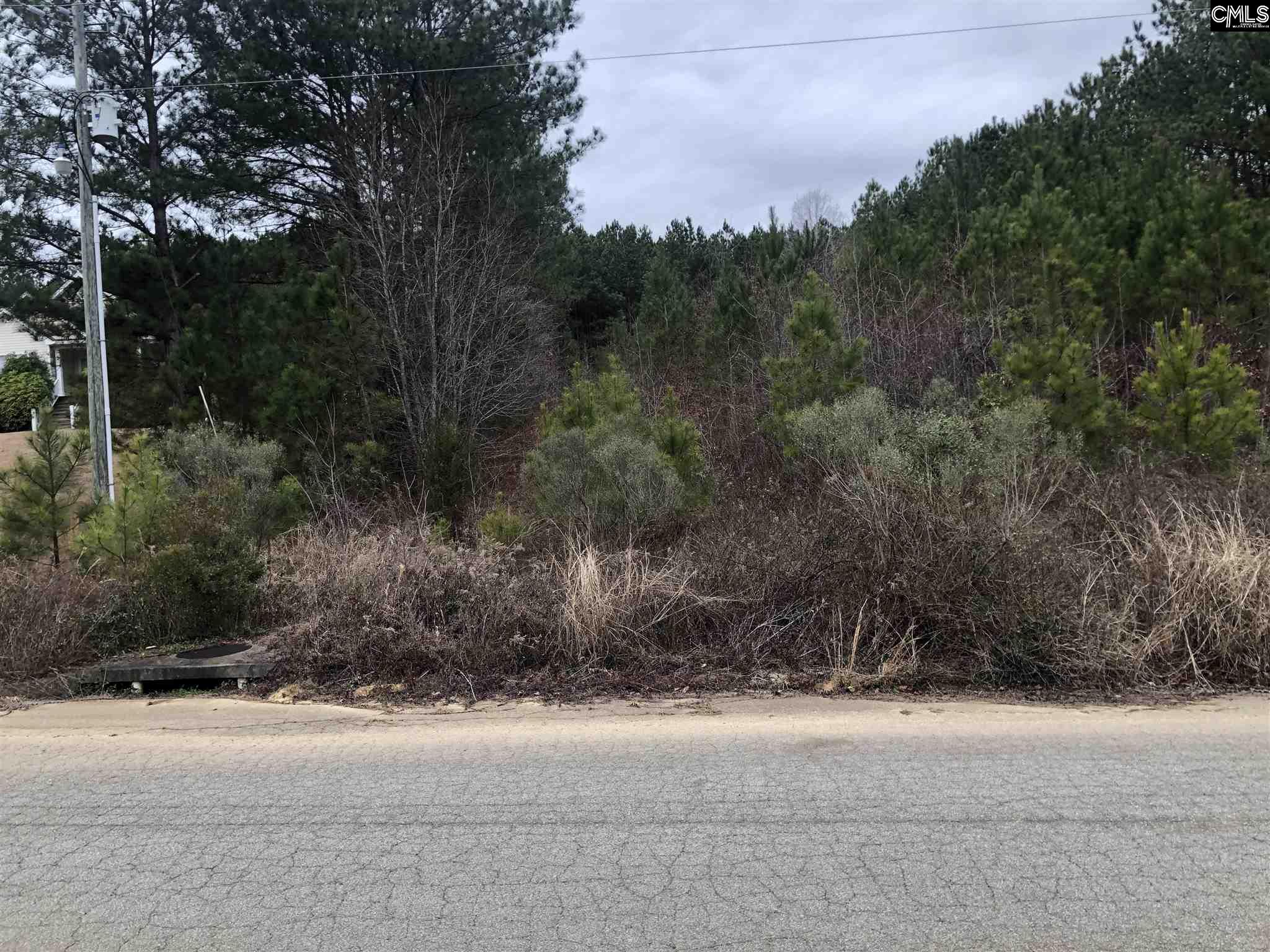 201 Miles Oak Lane Blythewood, SC 29016