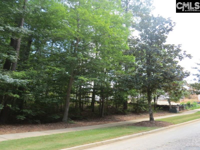 2 Golden Spur Lane Unit #32 Blythewood, SC 29016