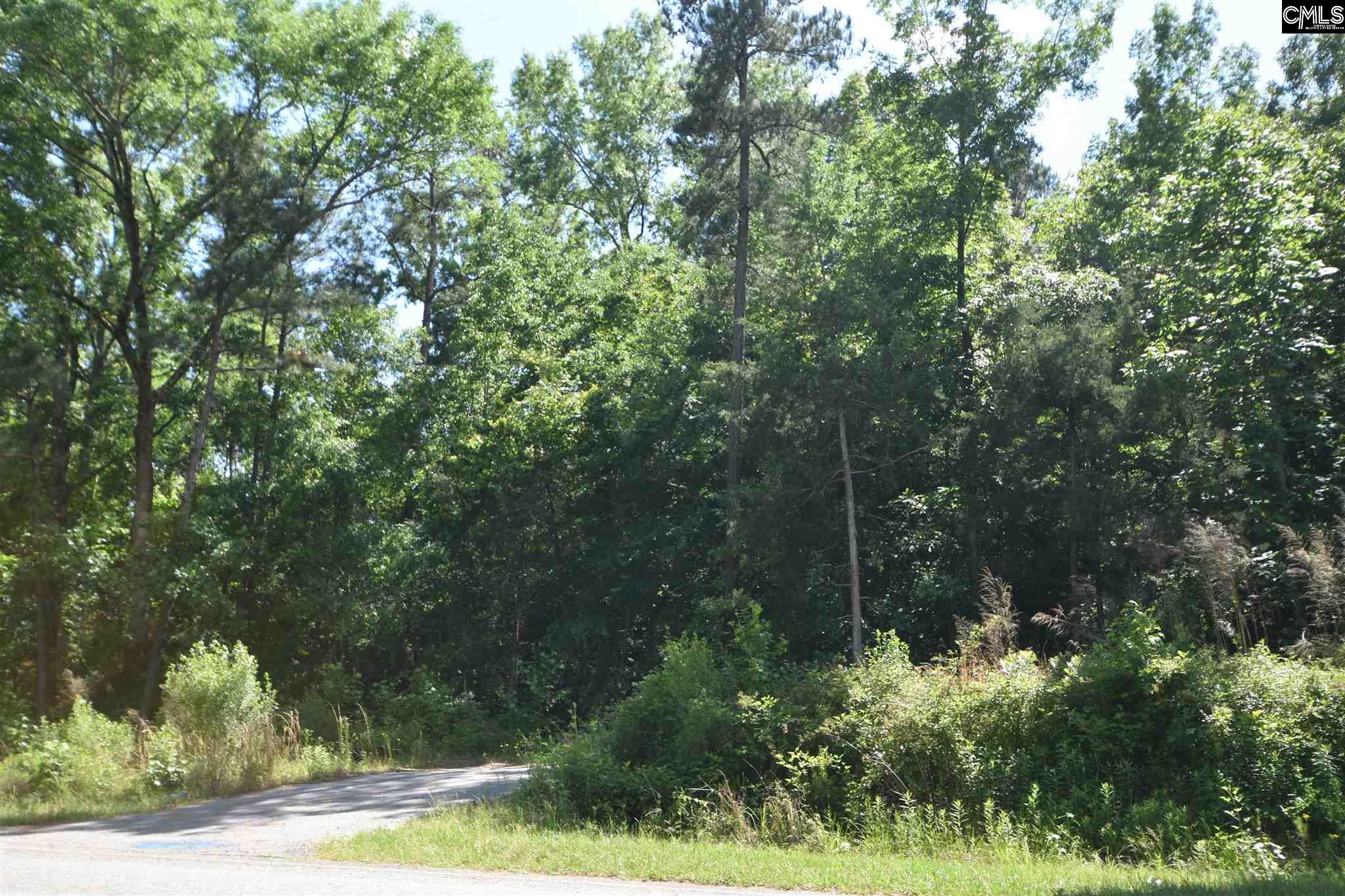 Indian Fork Road Chapin, SC 29036