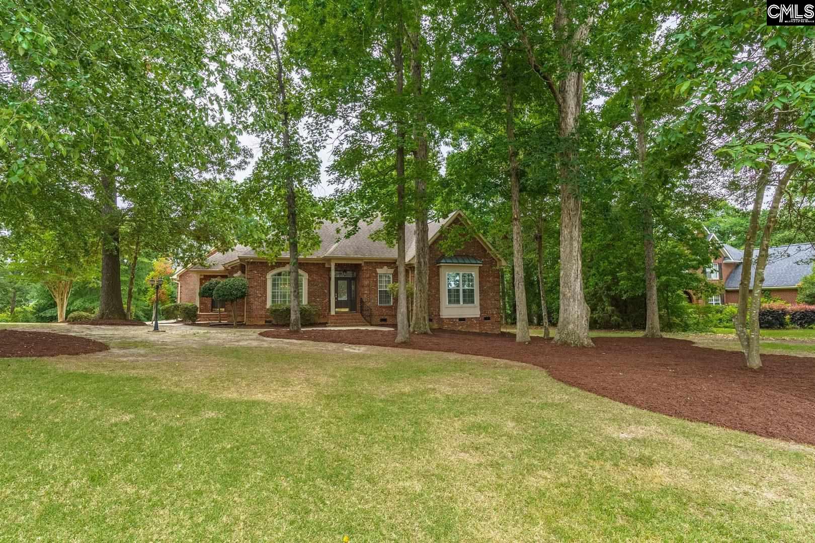 433 Caro Lane Chapin, SC 29036