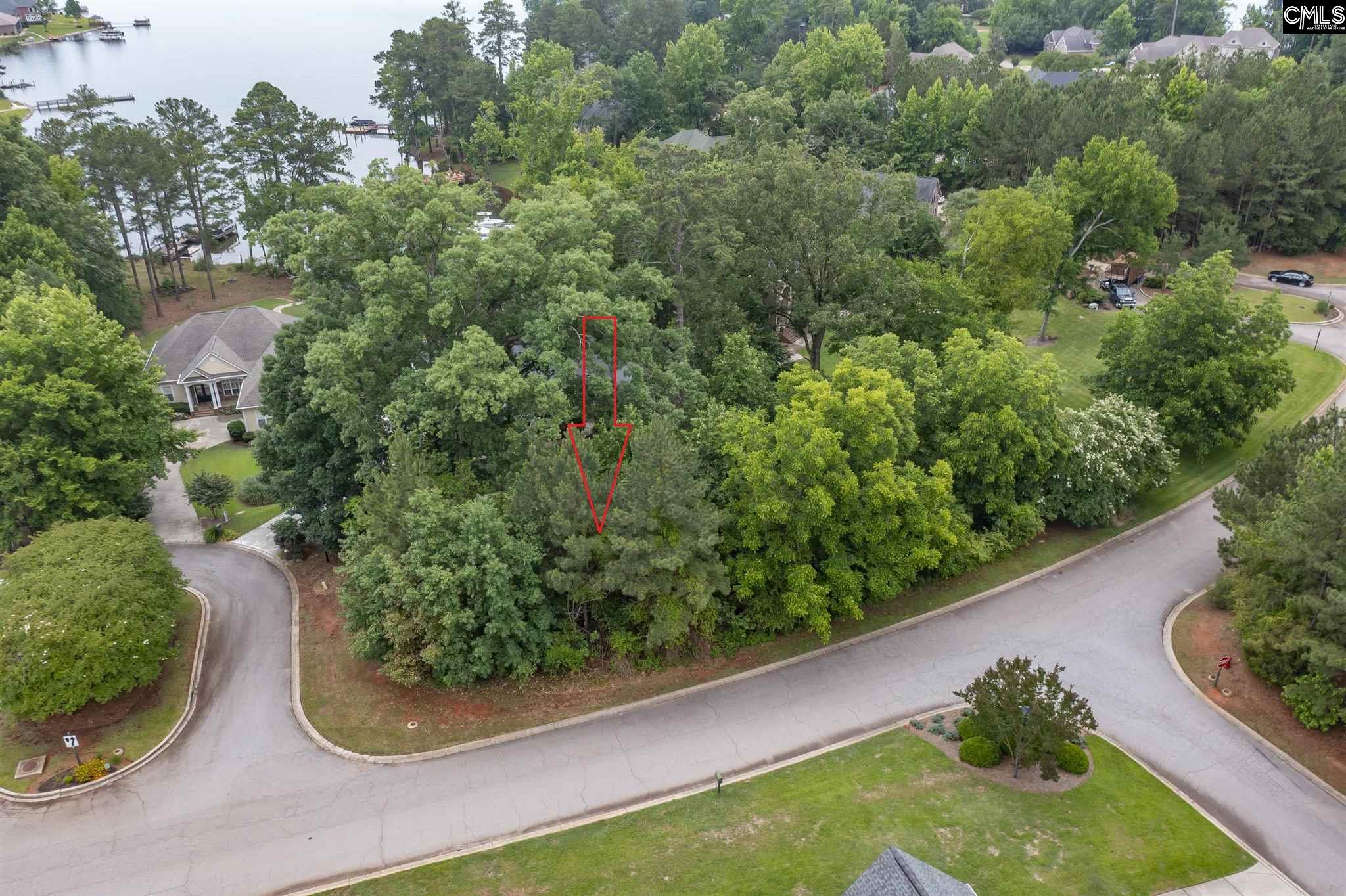 325 Lake Estate Drive Chapin, SC 29036