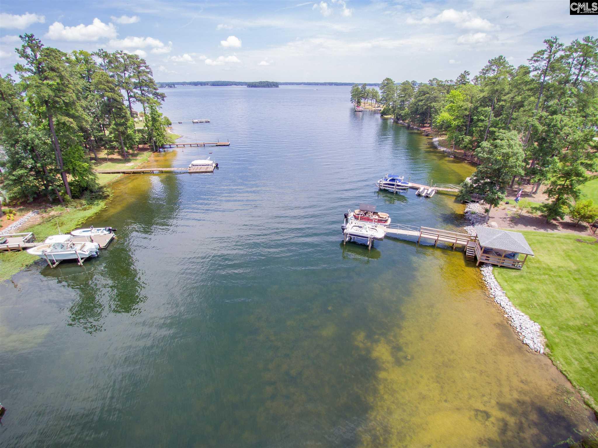 829 Tryst Point Chapin, SC 29036