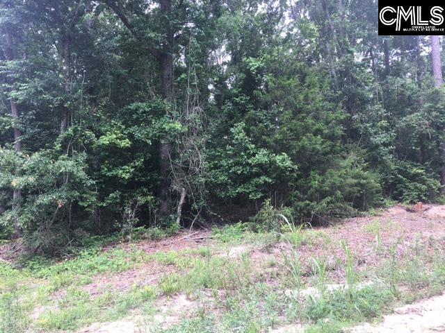 Seleta Circle Lexington, SC 29073
