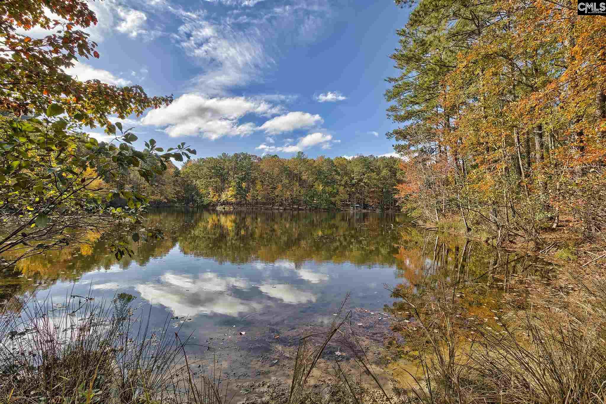812 Sandfield Road Blythewood, SC 29016