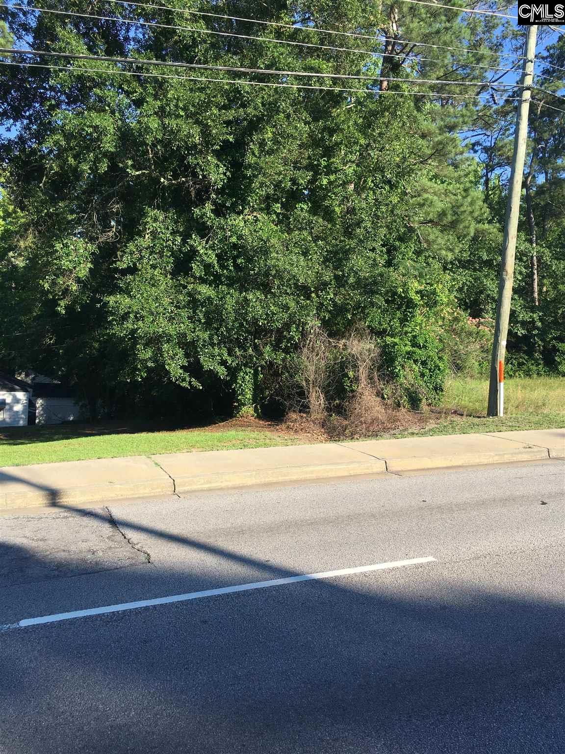 1561 Lilly Avenue Unit Pt Lot 24 Columbia, SC 29204