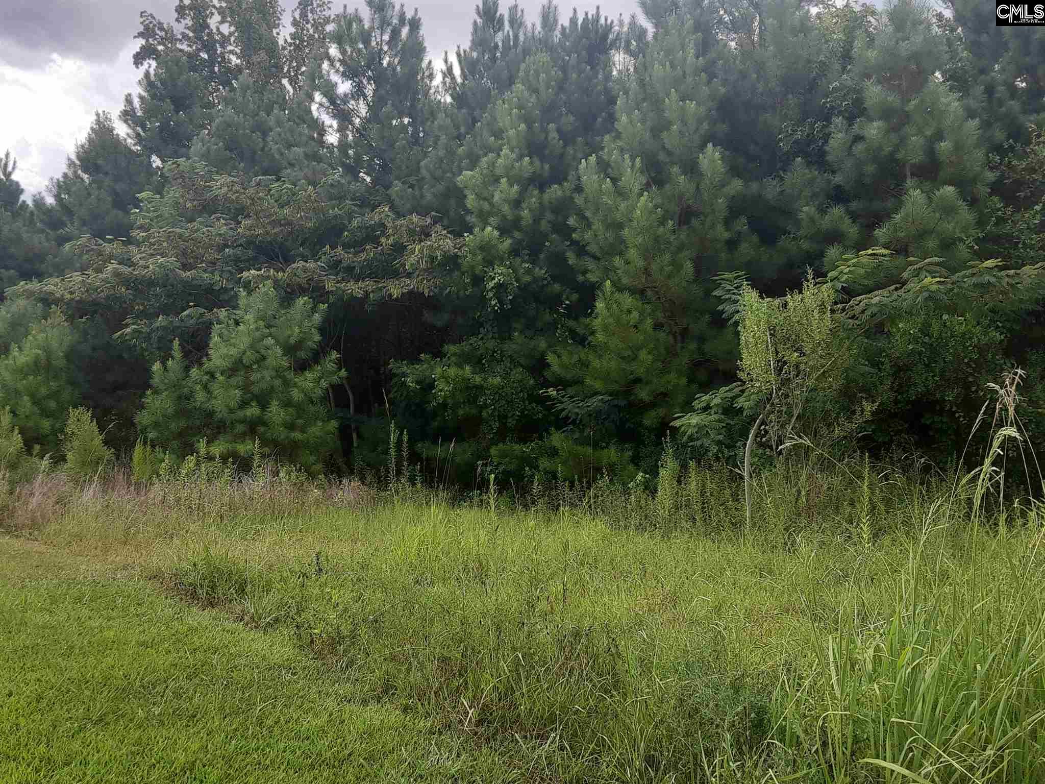 305 Trent Court Irmo, SC 29063