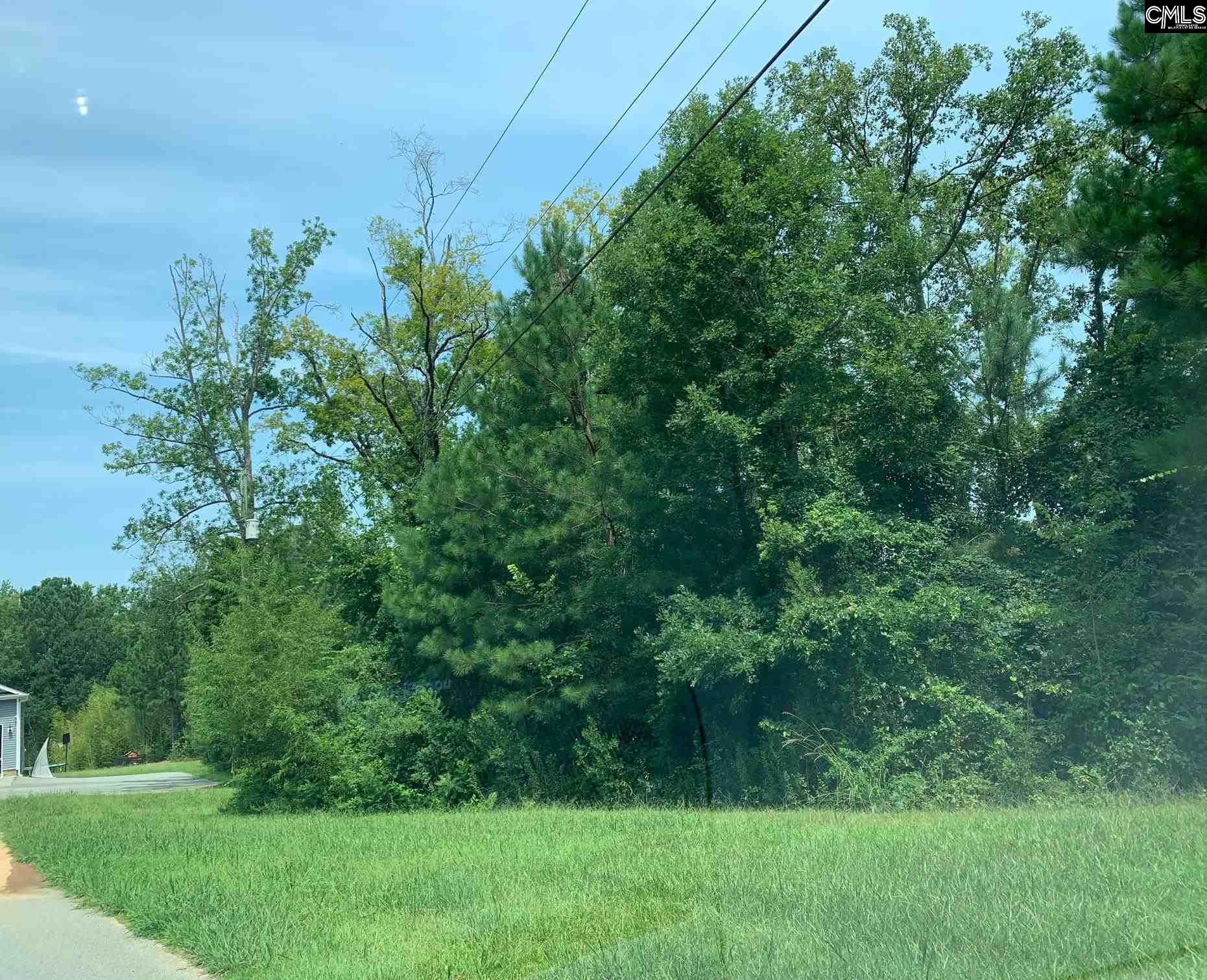57 Nature Trail Way Irmo, SC 29063