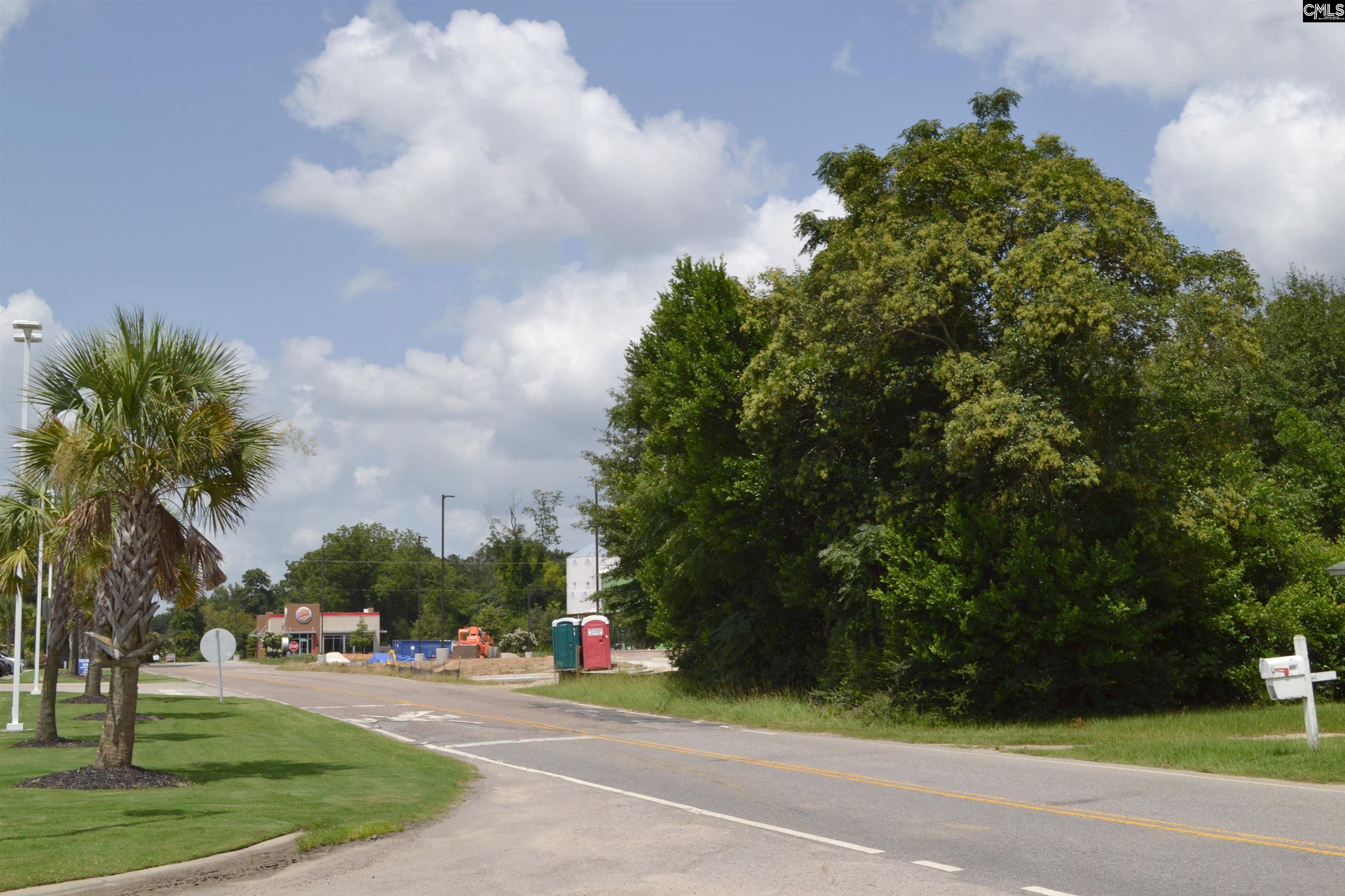 Hendrix Street Leesville, SC 29070