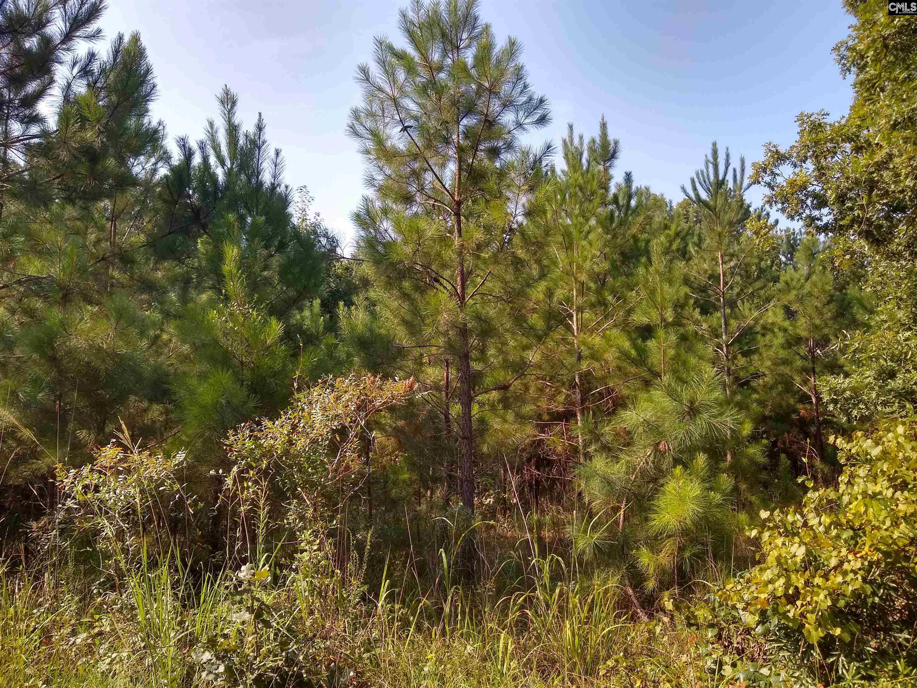 94 Wessinger Lane Columbia, SC 29203
