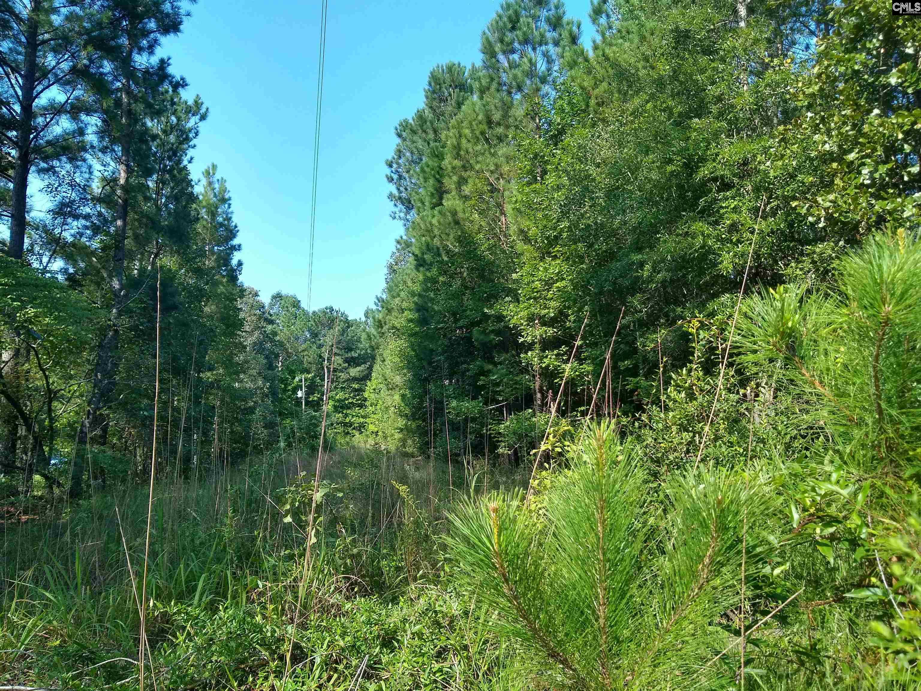 108 Wessinger Lane Columbia, SC 29203