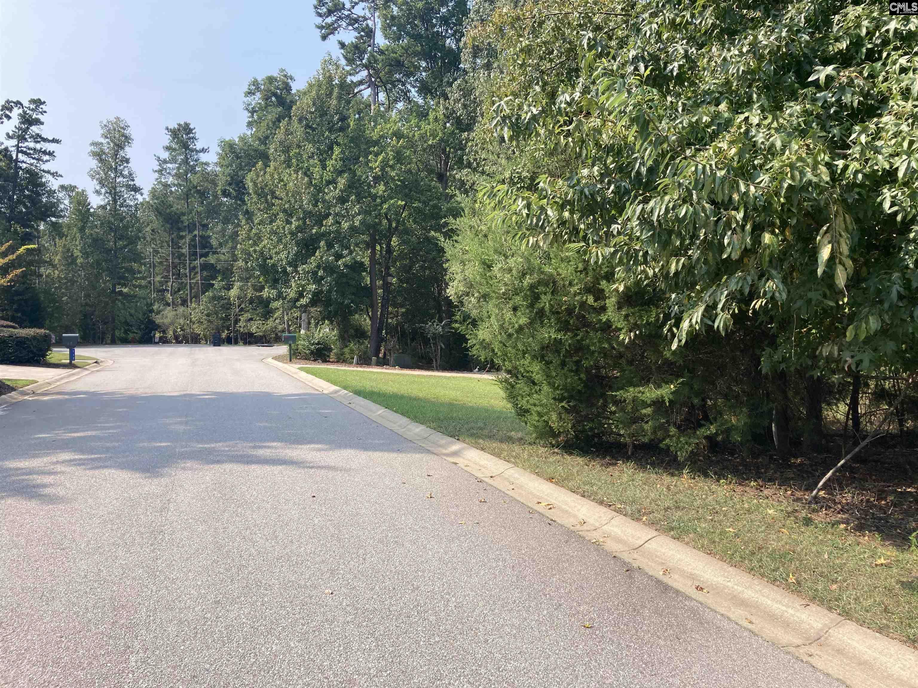 Land for Sale in Chapin SC
