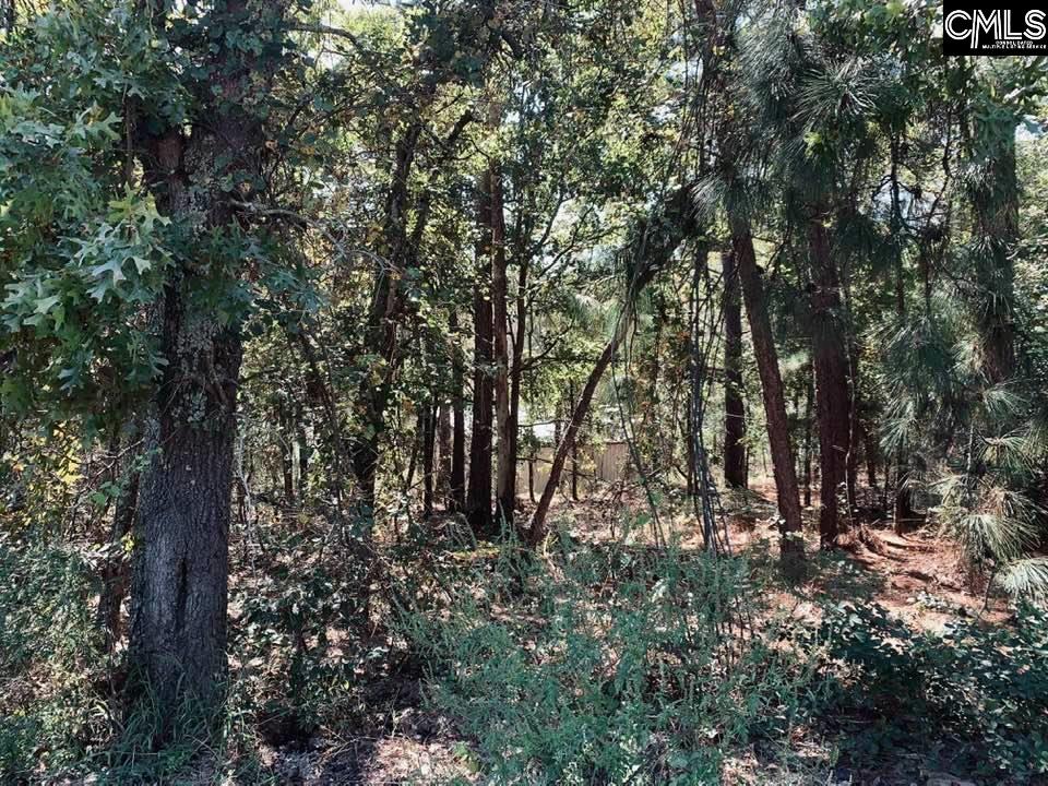 116 David Rish Road Leesville, SC 29070
