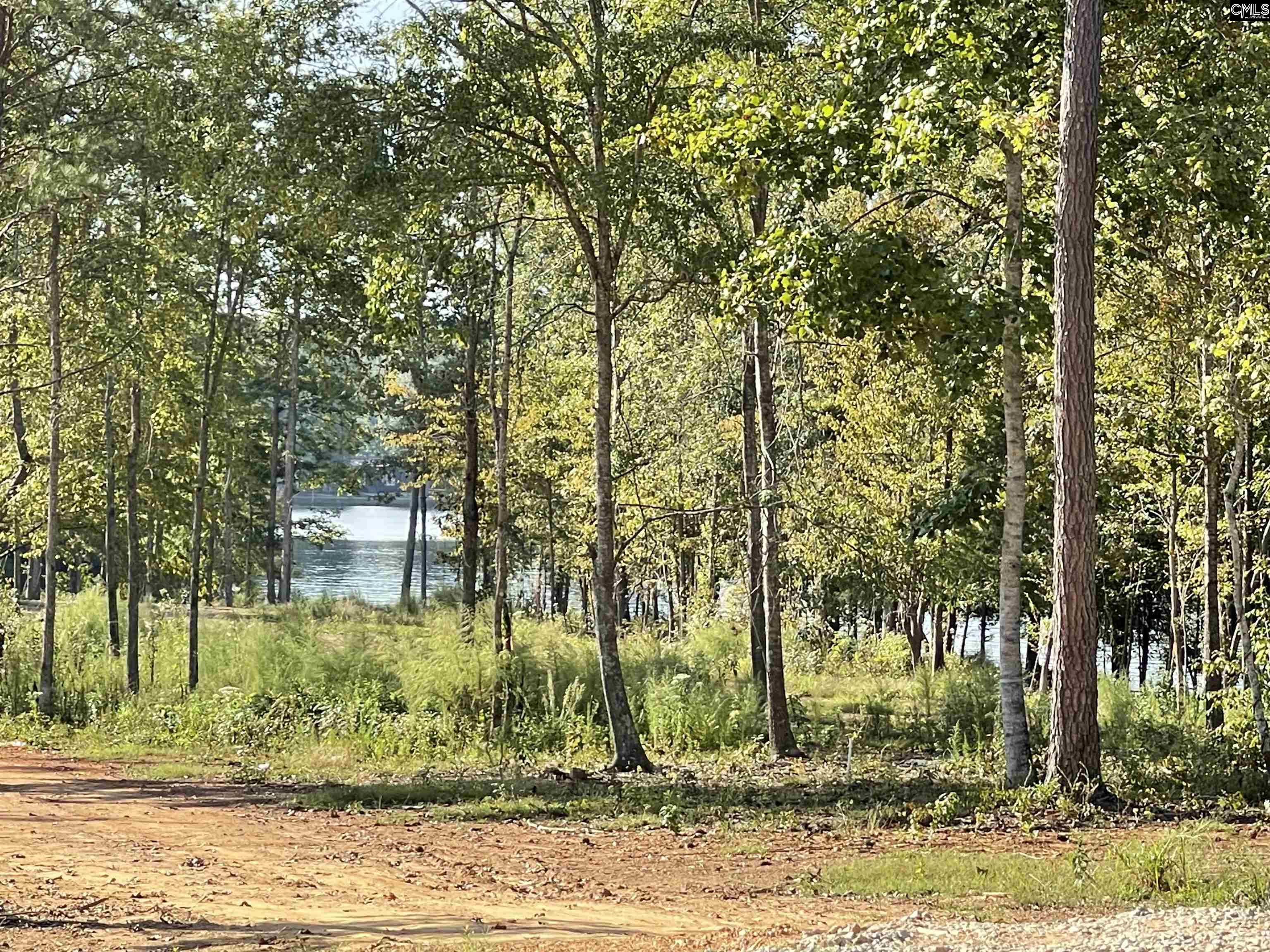 Lot 105 Longview Drive Leesville, SC 29070